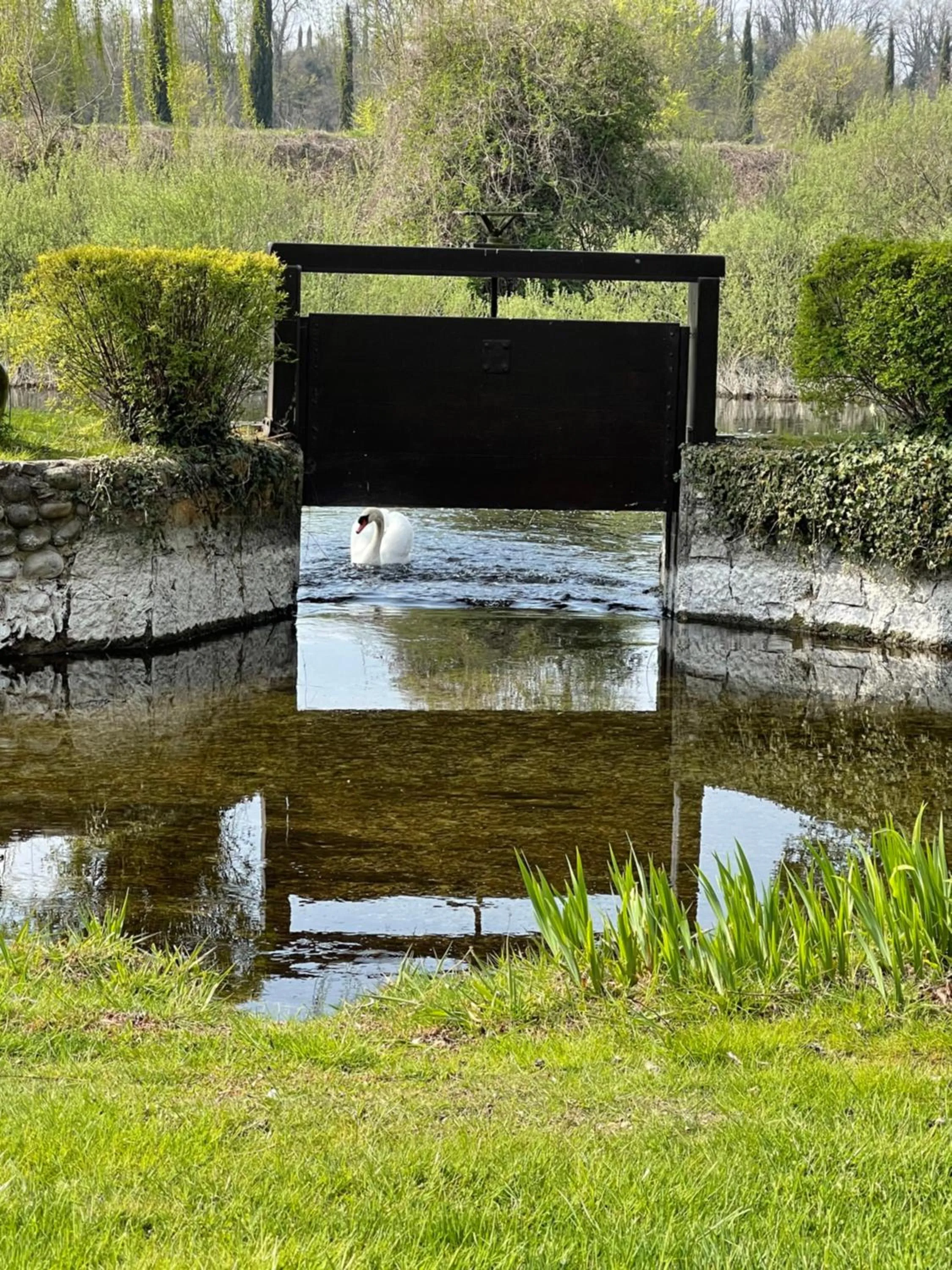 La Finestra sul Fiume