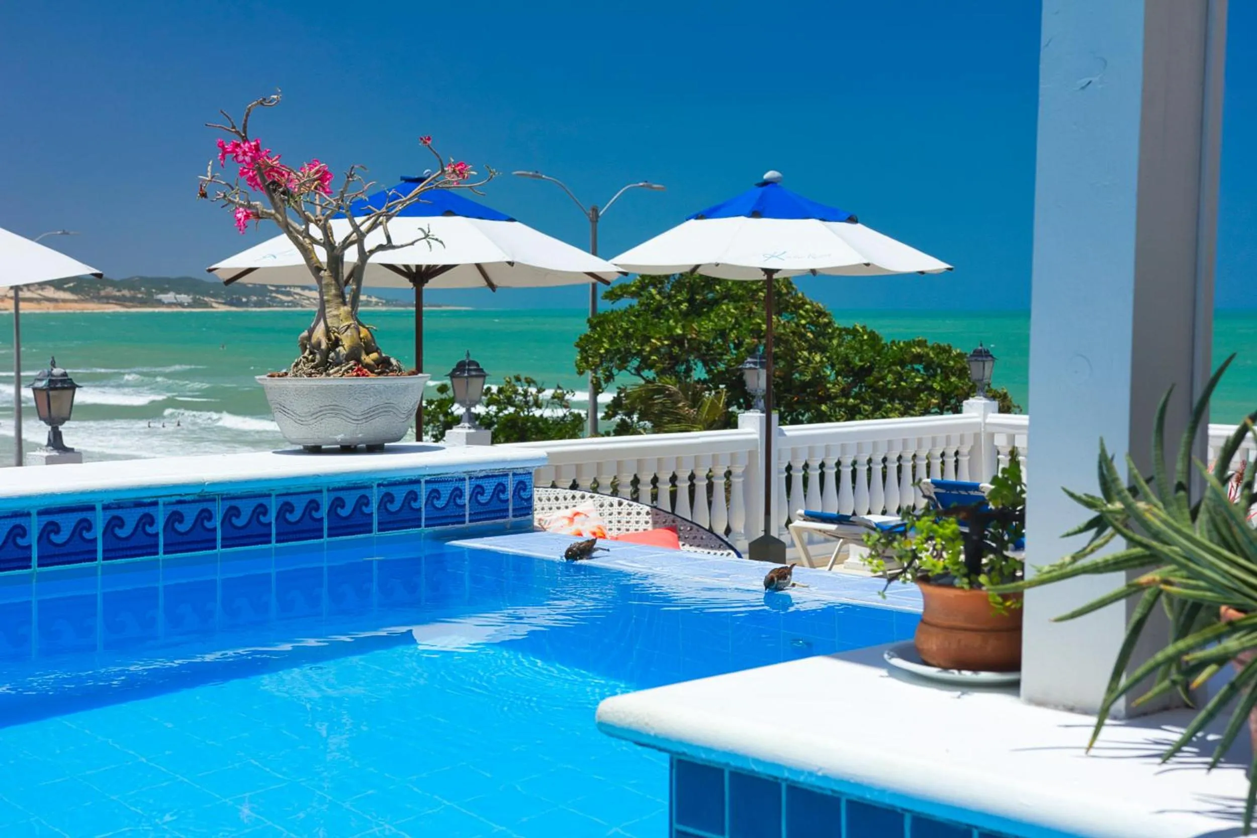 Kristie Resort Natal Hotel