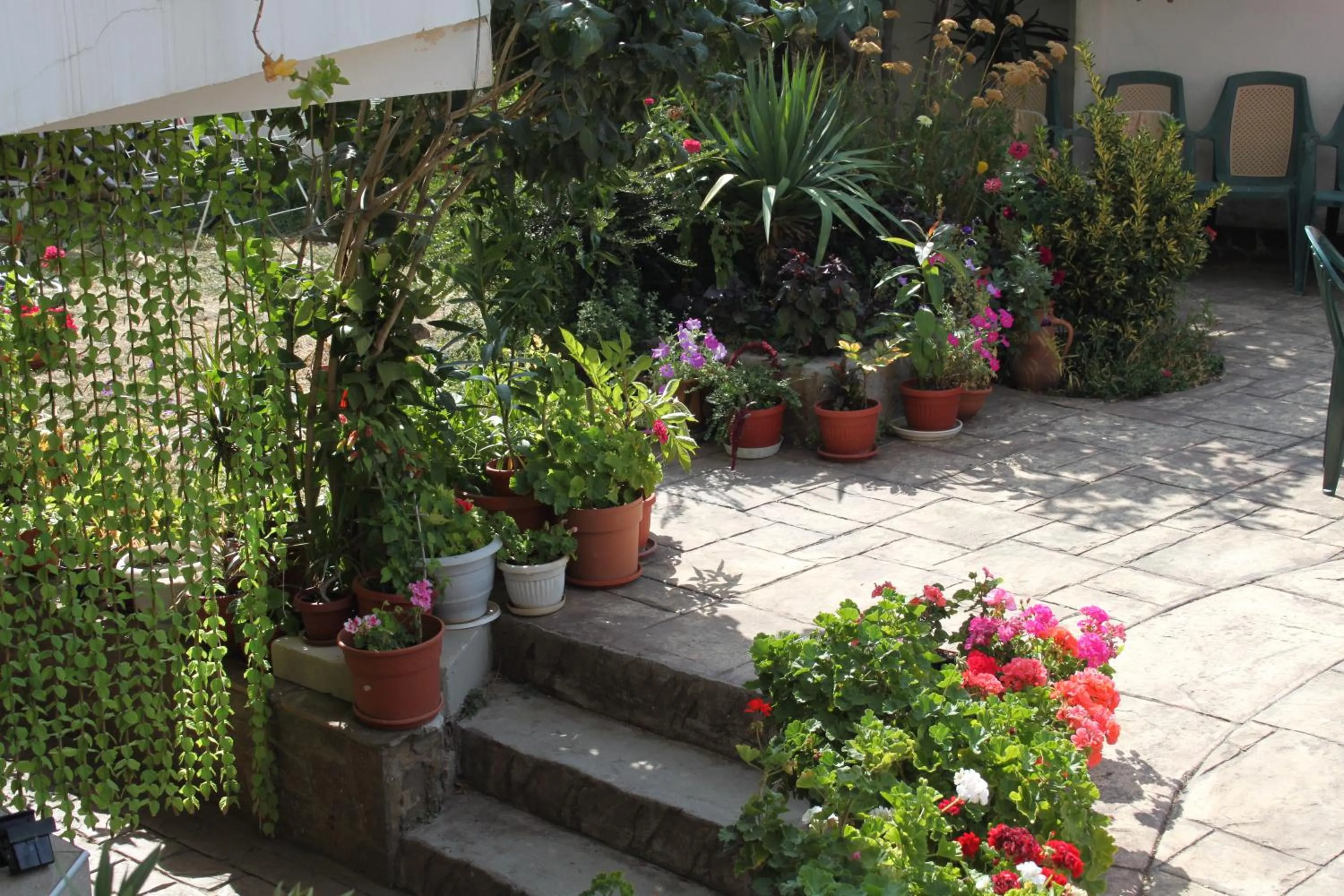 Garden in Shipka IT Hotel