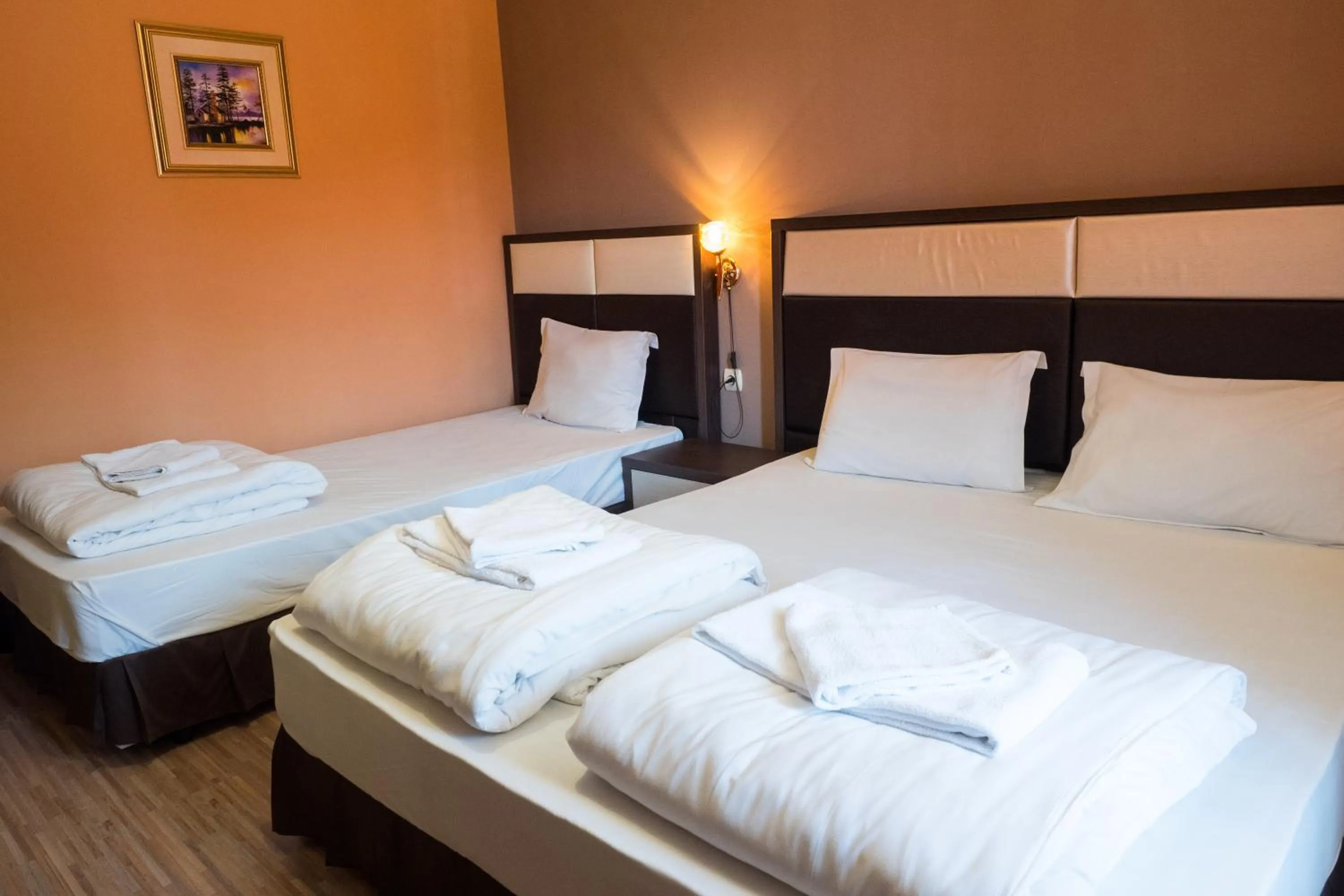 Photo of the whole room, Bed in City Blagoevgrad Family Hotel
