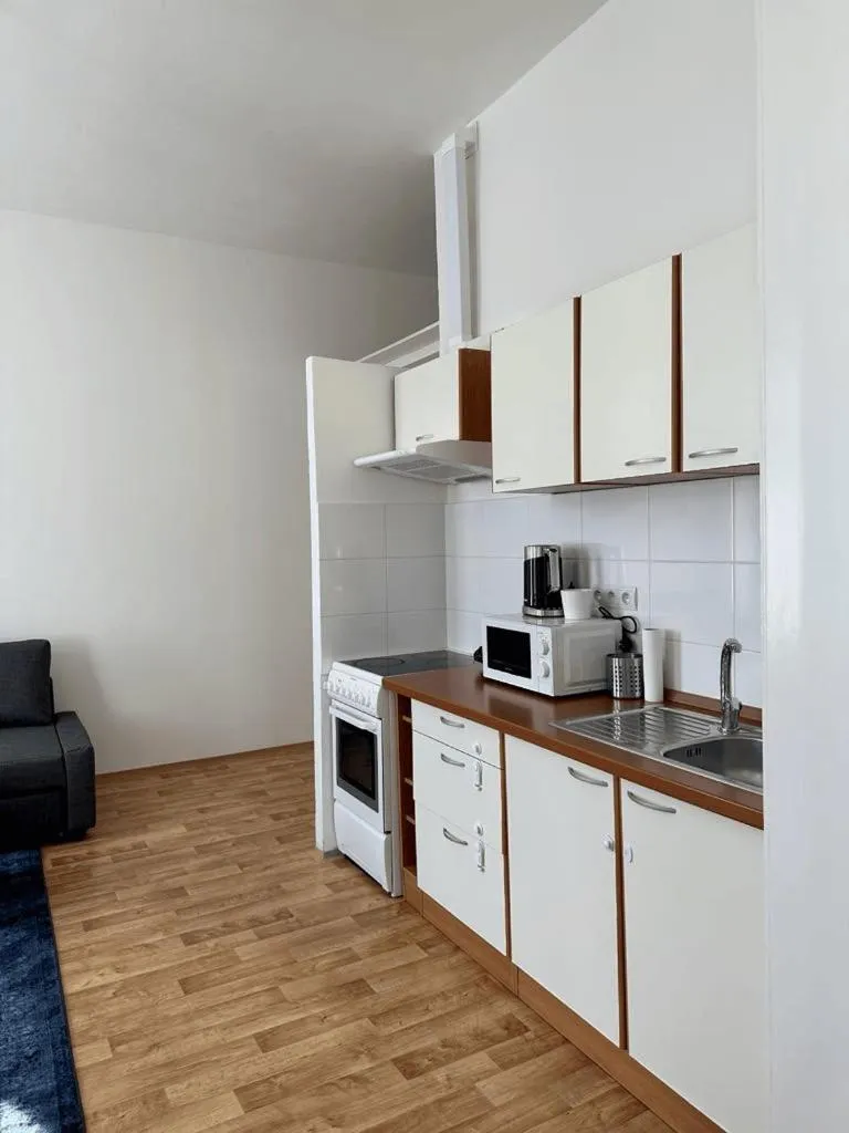 Kitchen or kitchenette in Welcome Hostel & Apartments Praguecentre