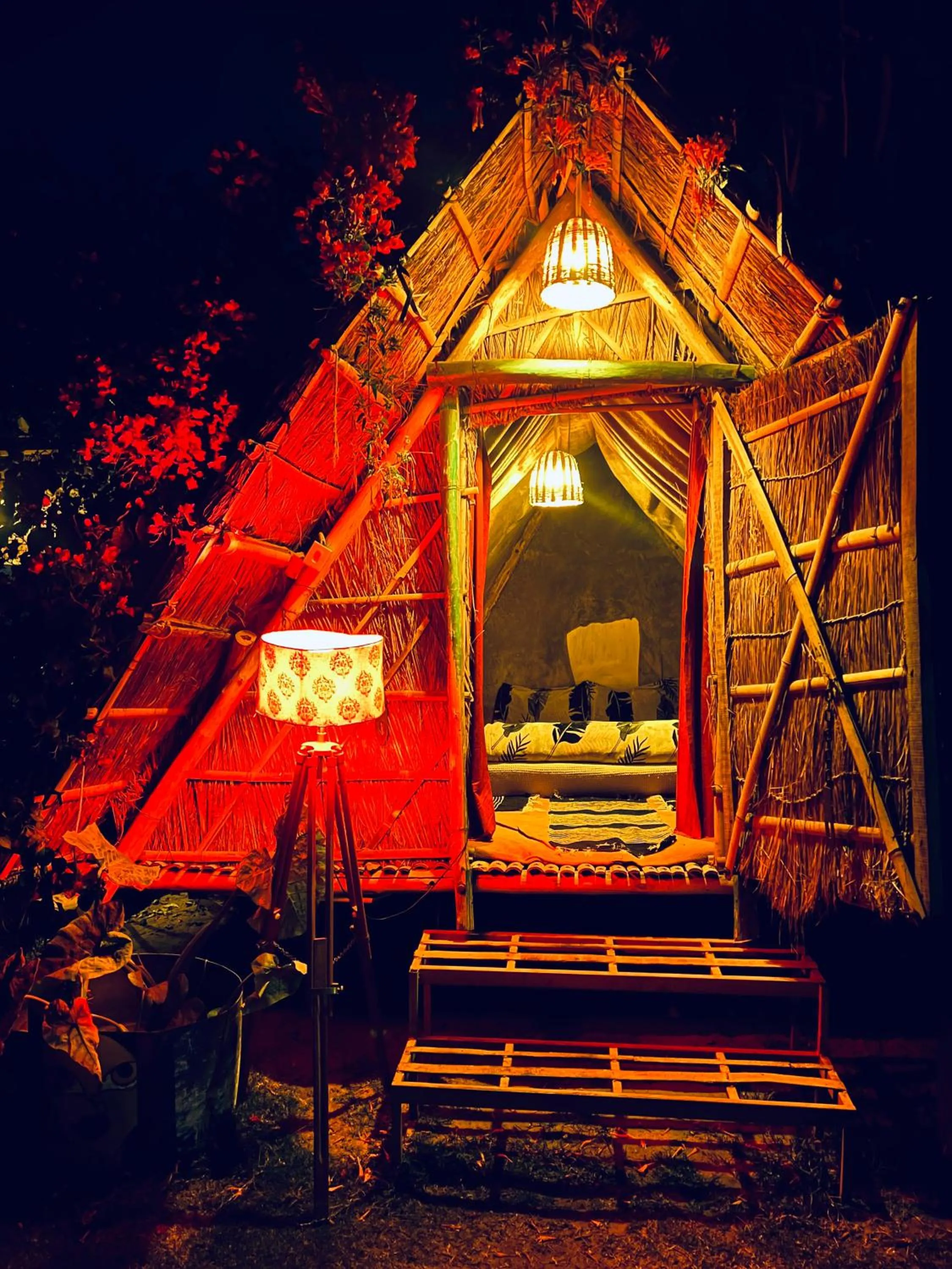 Property building in Namaste India