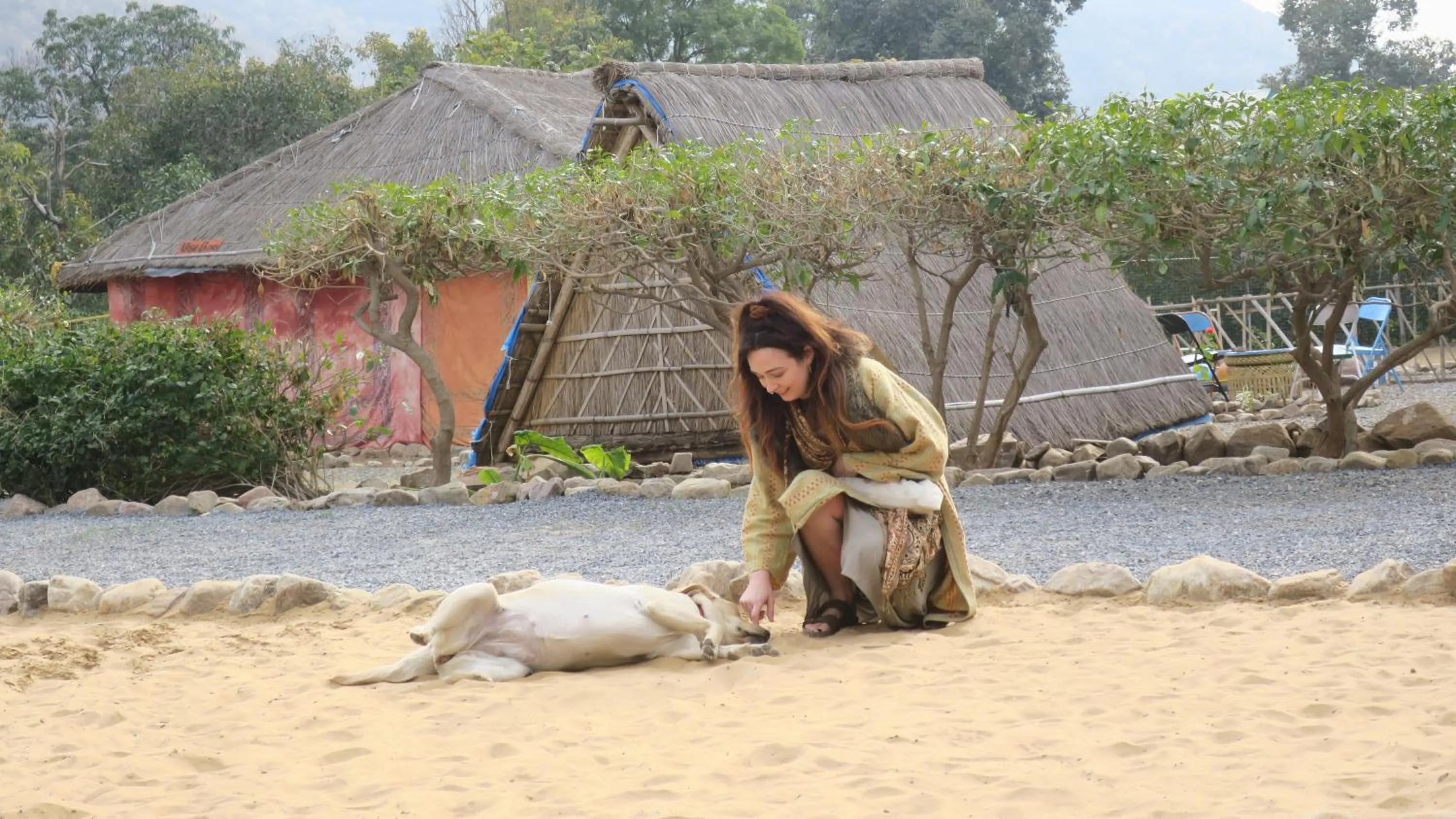 Property building in Namaste India