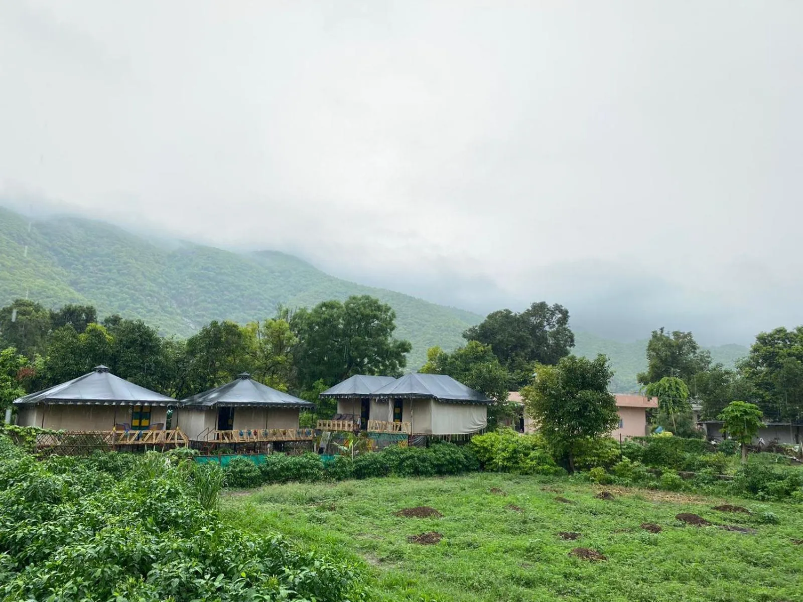 Day in Namaste India