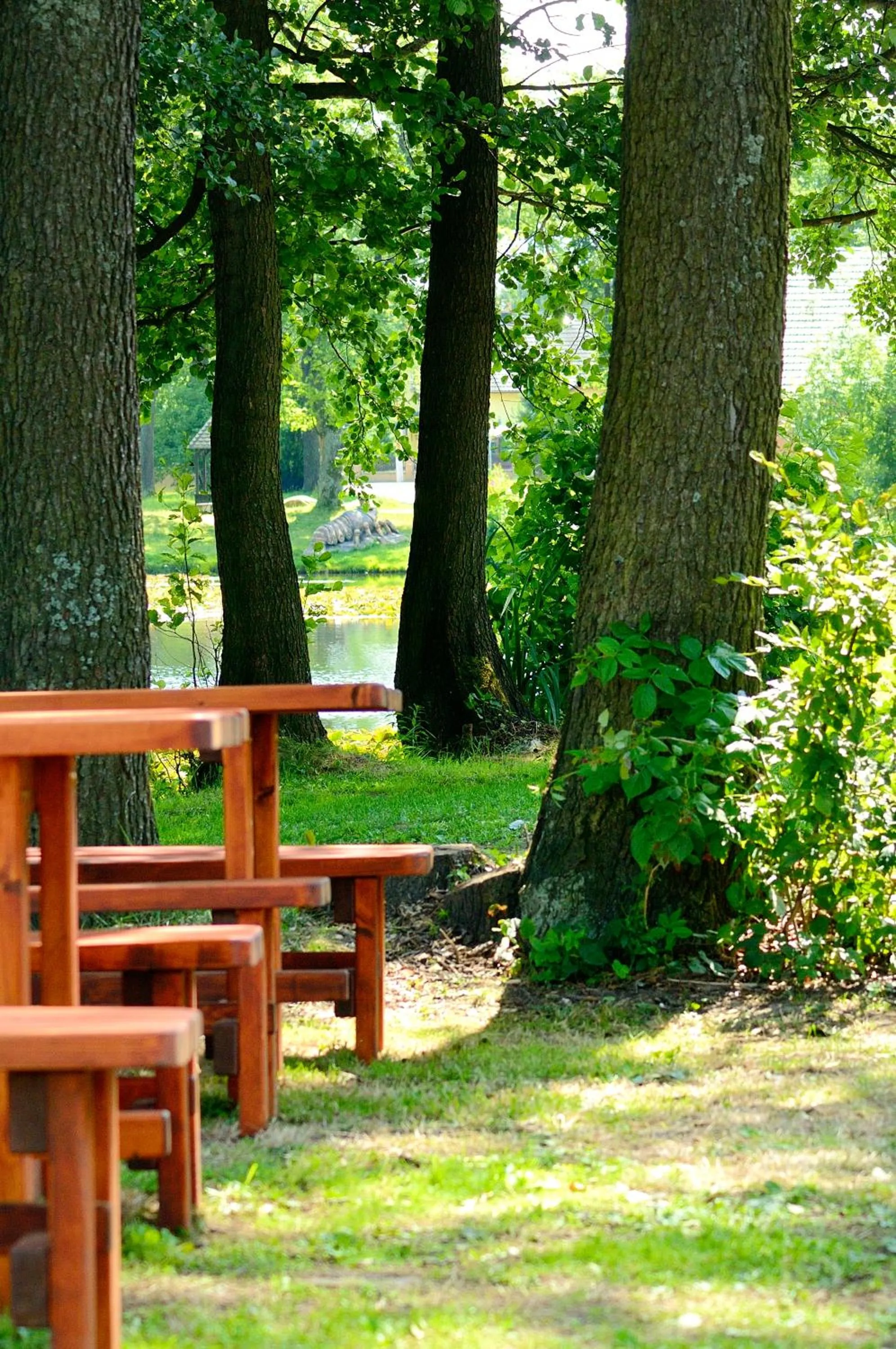 Garden in Hotel Leopold Račín