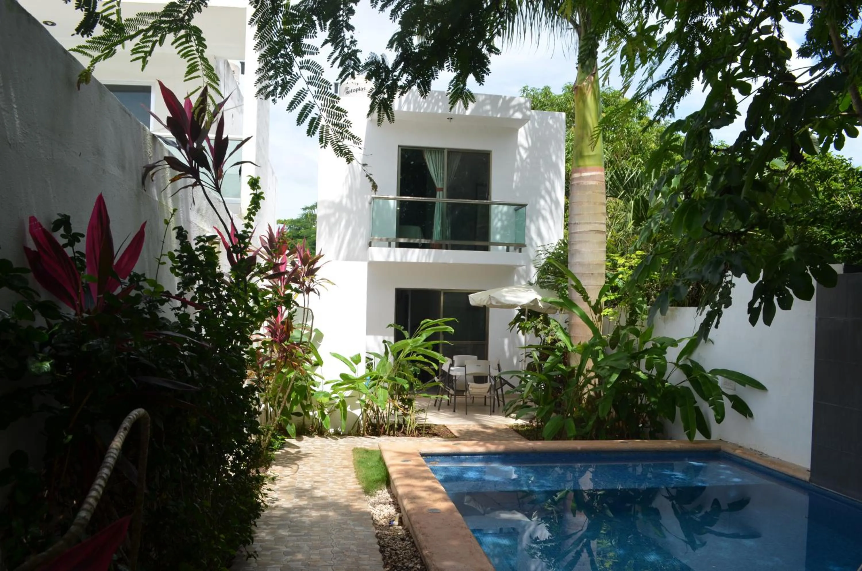 Pool view in Casa Mango