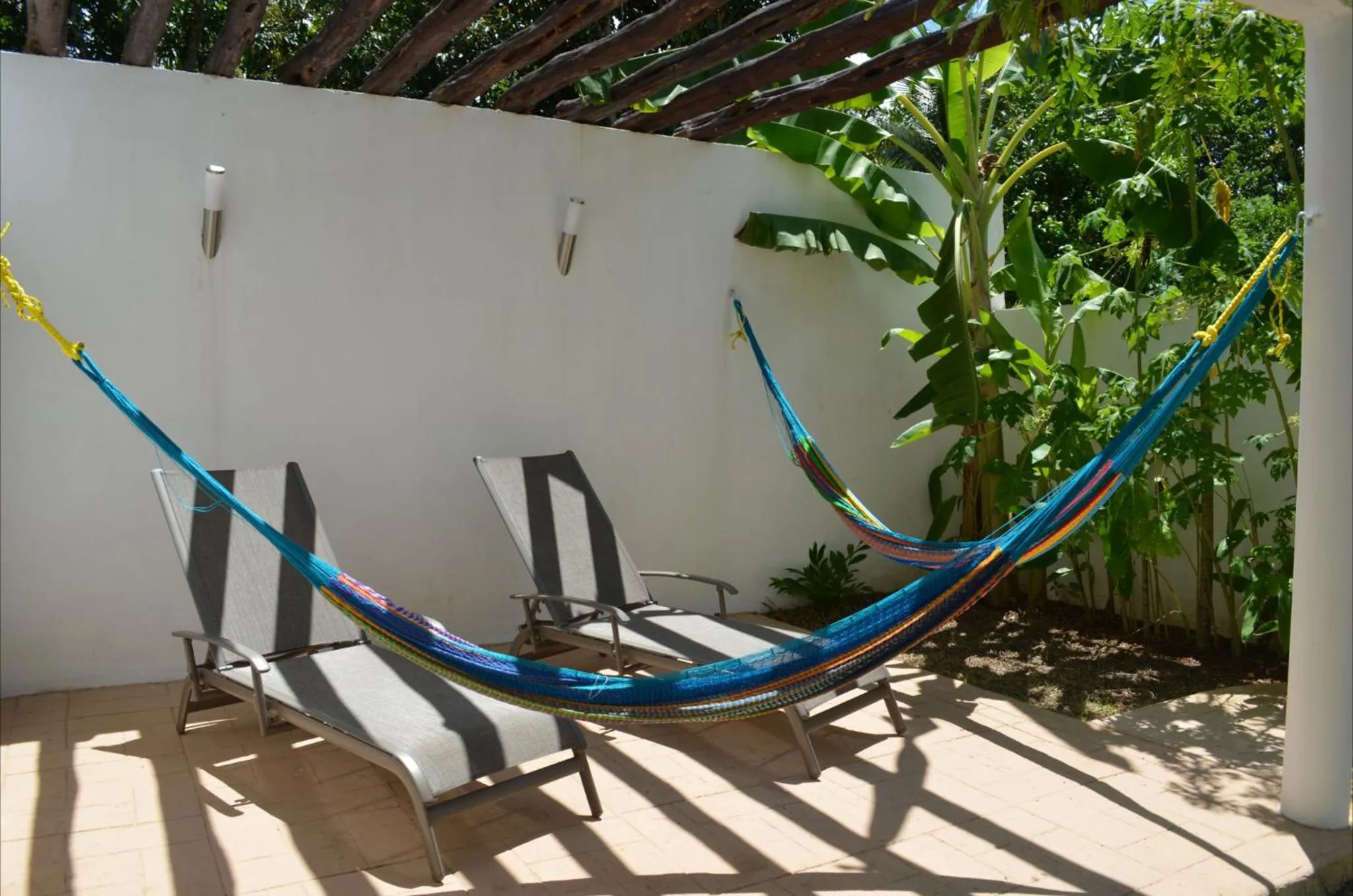 Garden in Casa Mango