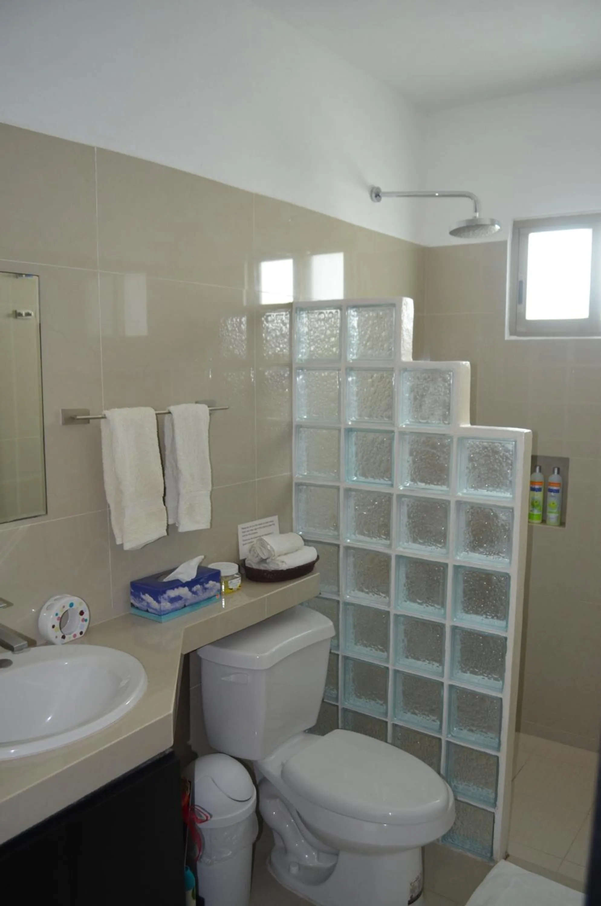 Toilet in Casa Mango