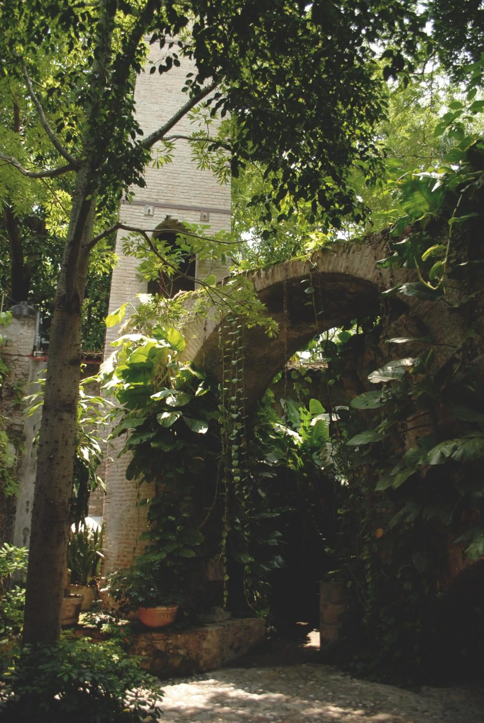 Patio in Hacienda San Gabriel de las Palmas