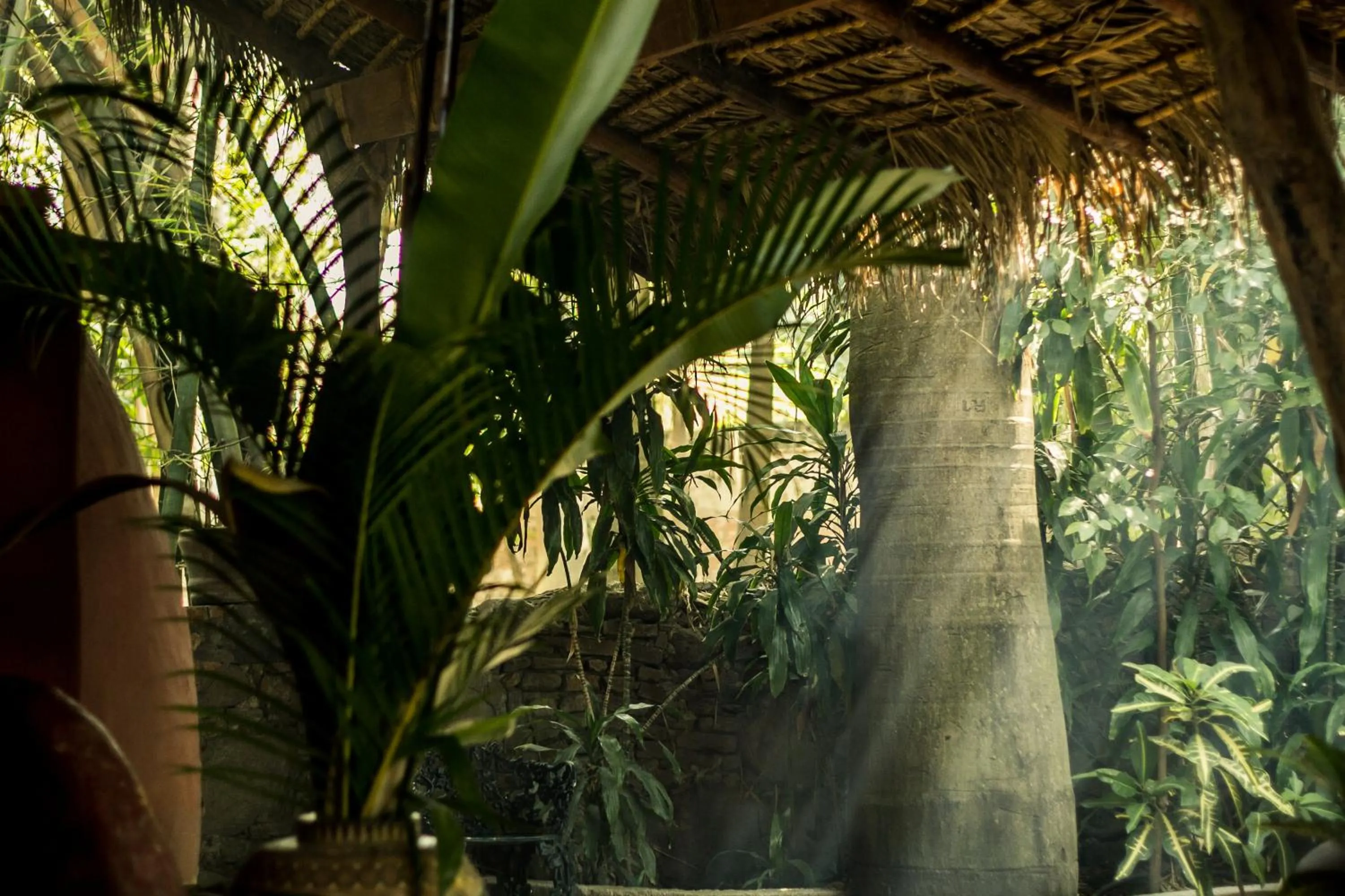 Spa and wellness centre/facilities in Hacienda San Gabriel de las Palmas