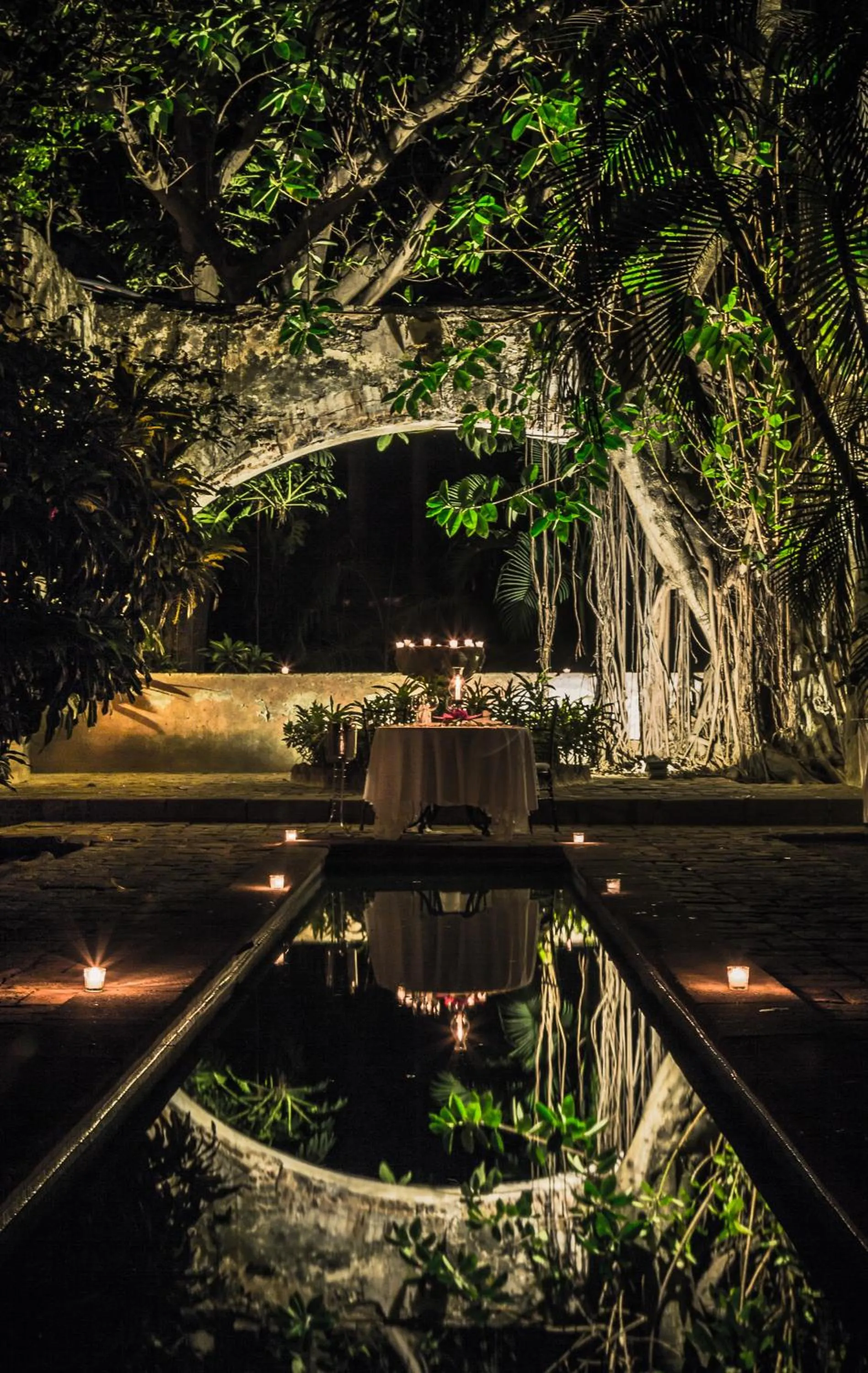 Natural landscape in Hacienda San Gabriel de las Palmas