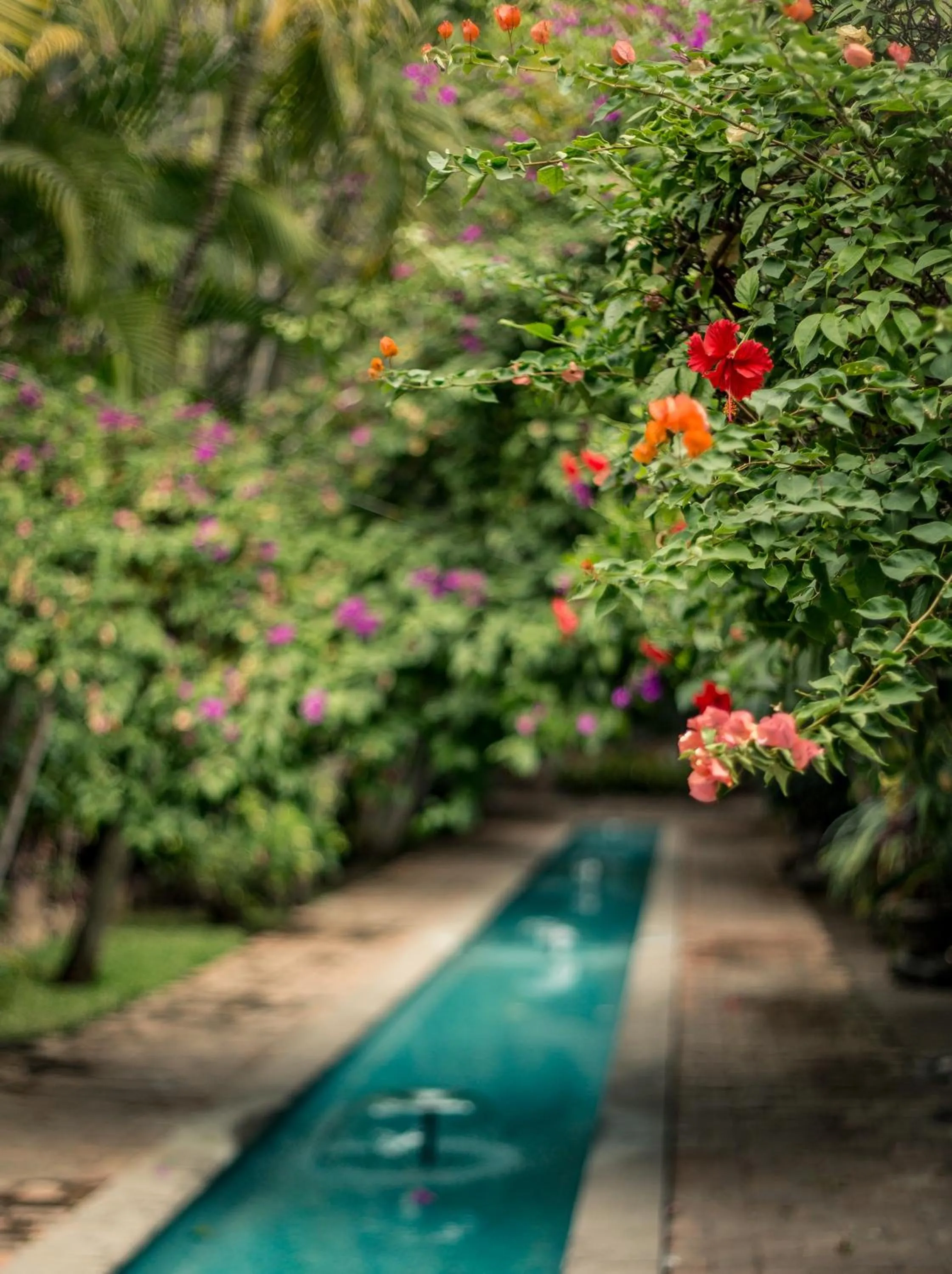 Patio in Hacienda San Gabriel de las Palmas