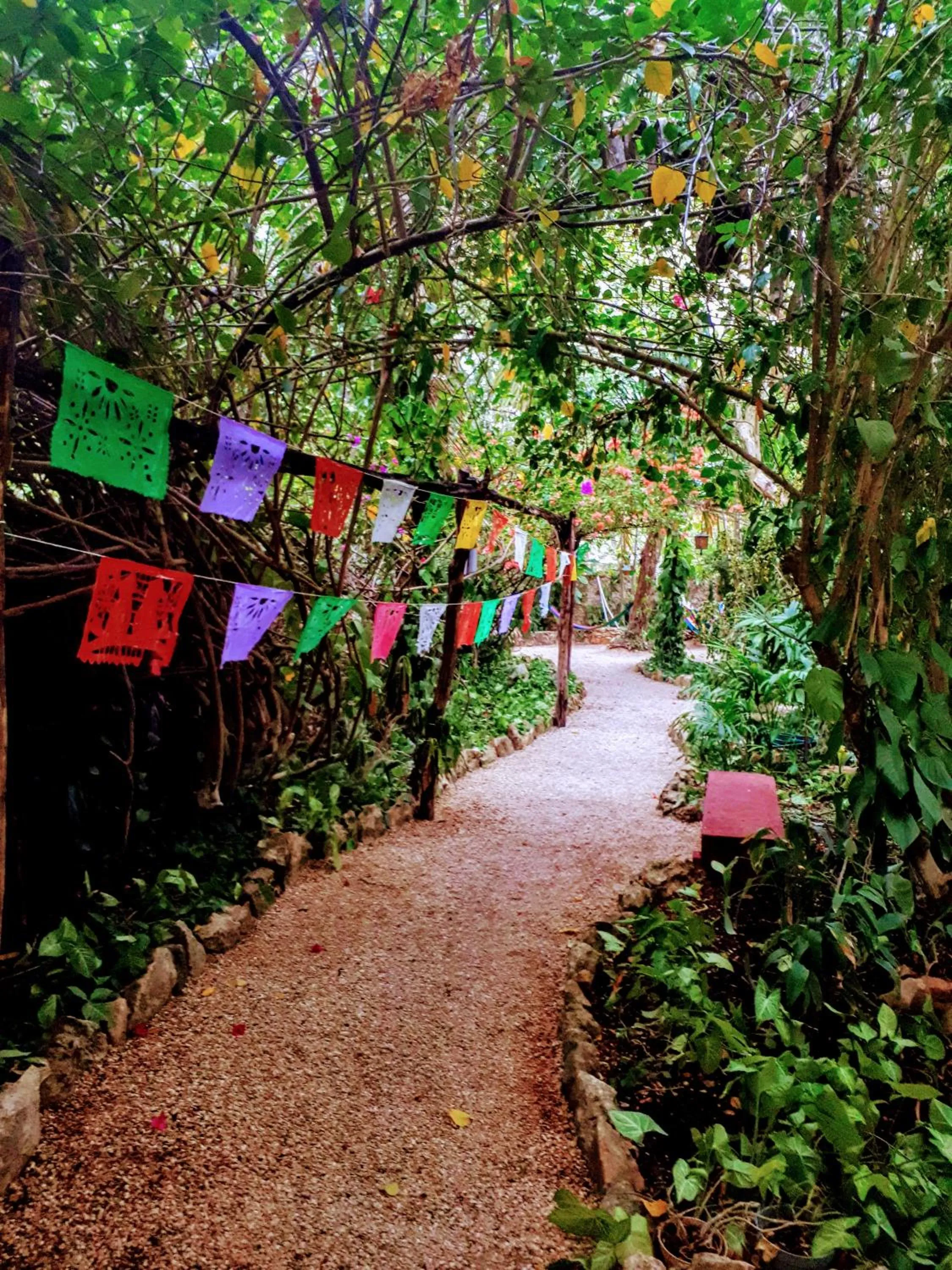 Garden in Hostel Candelaria