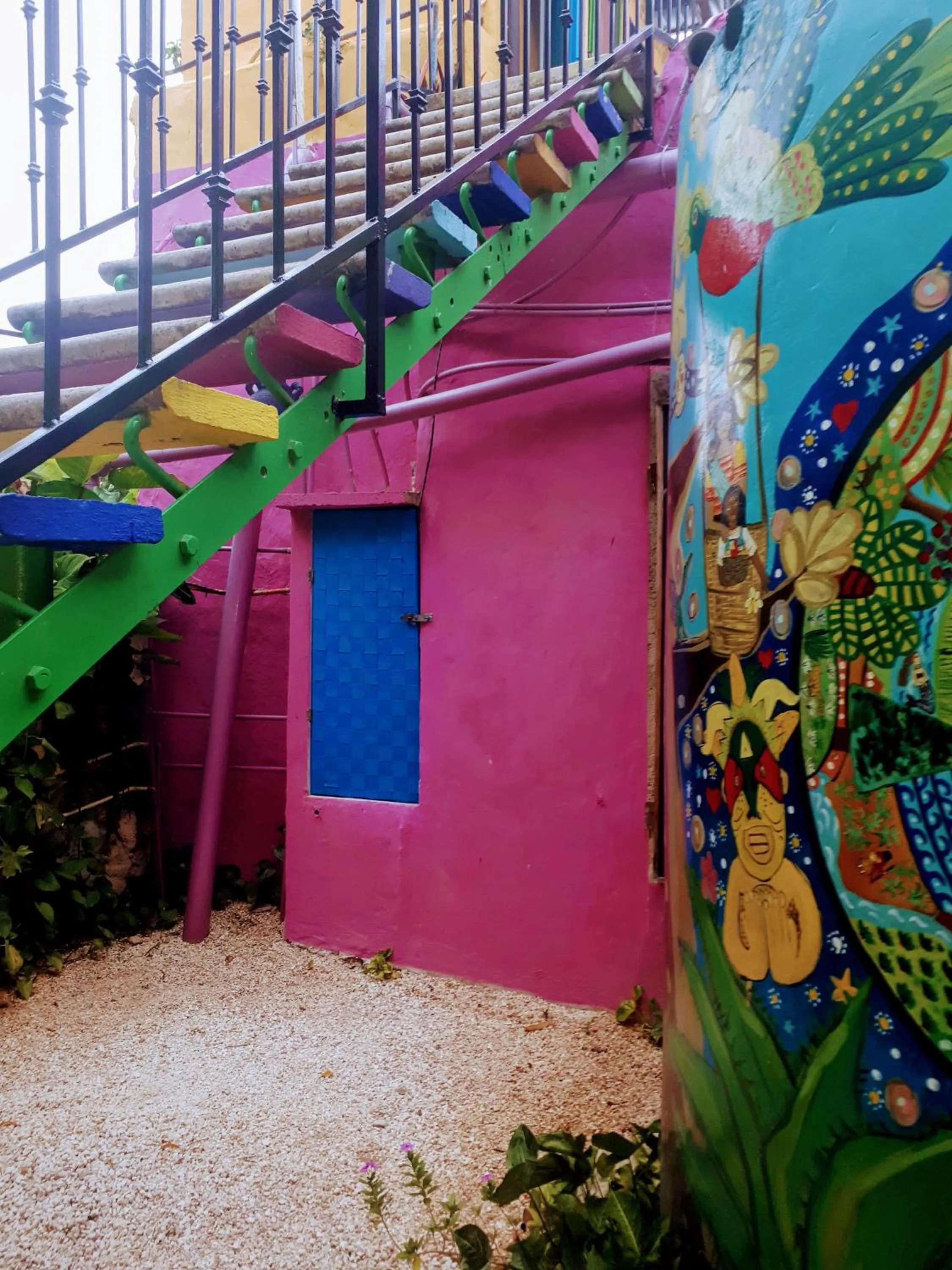 Garden in Hostel Candelaria