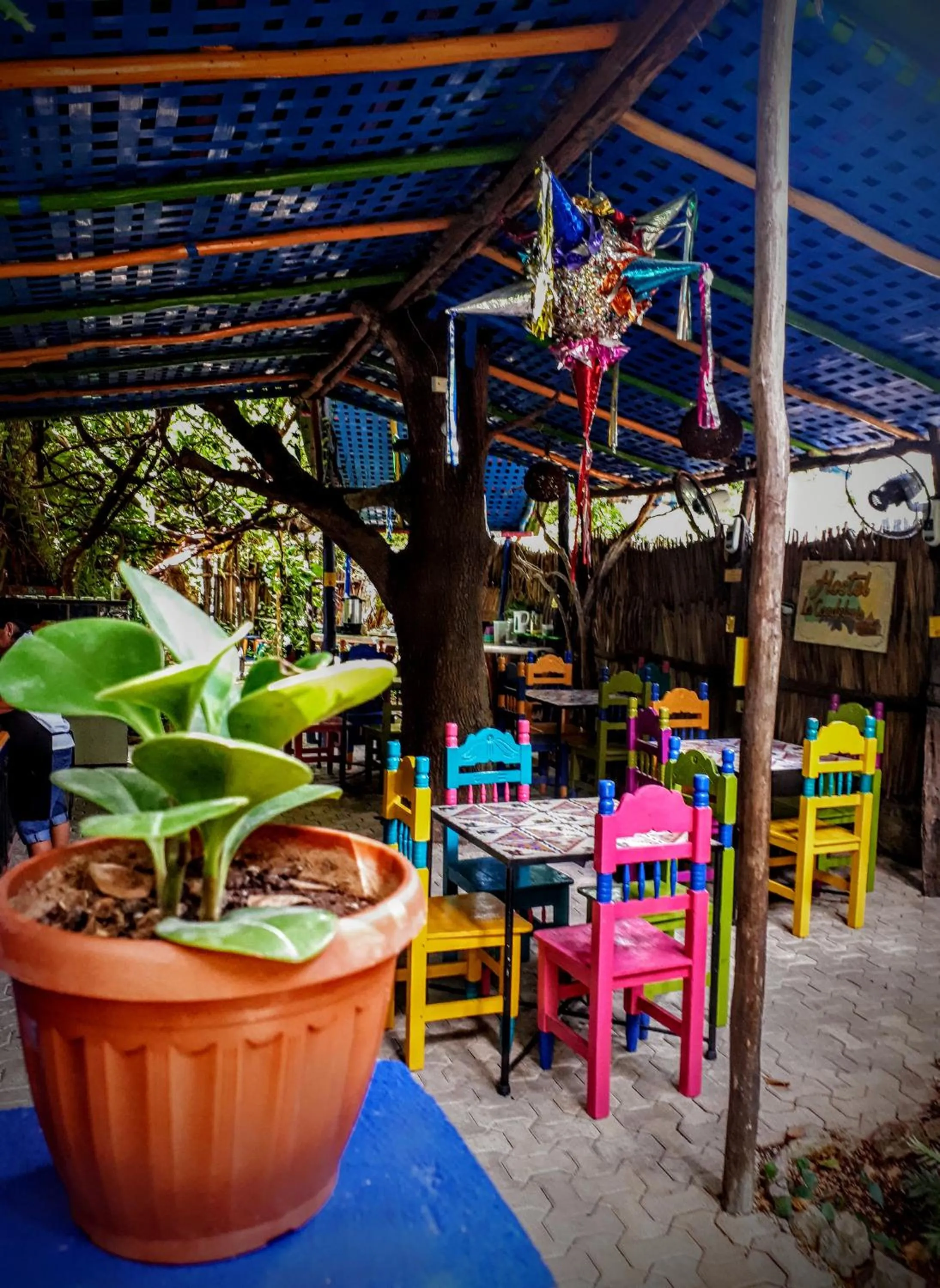 Dining area in Hostel Candelaria