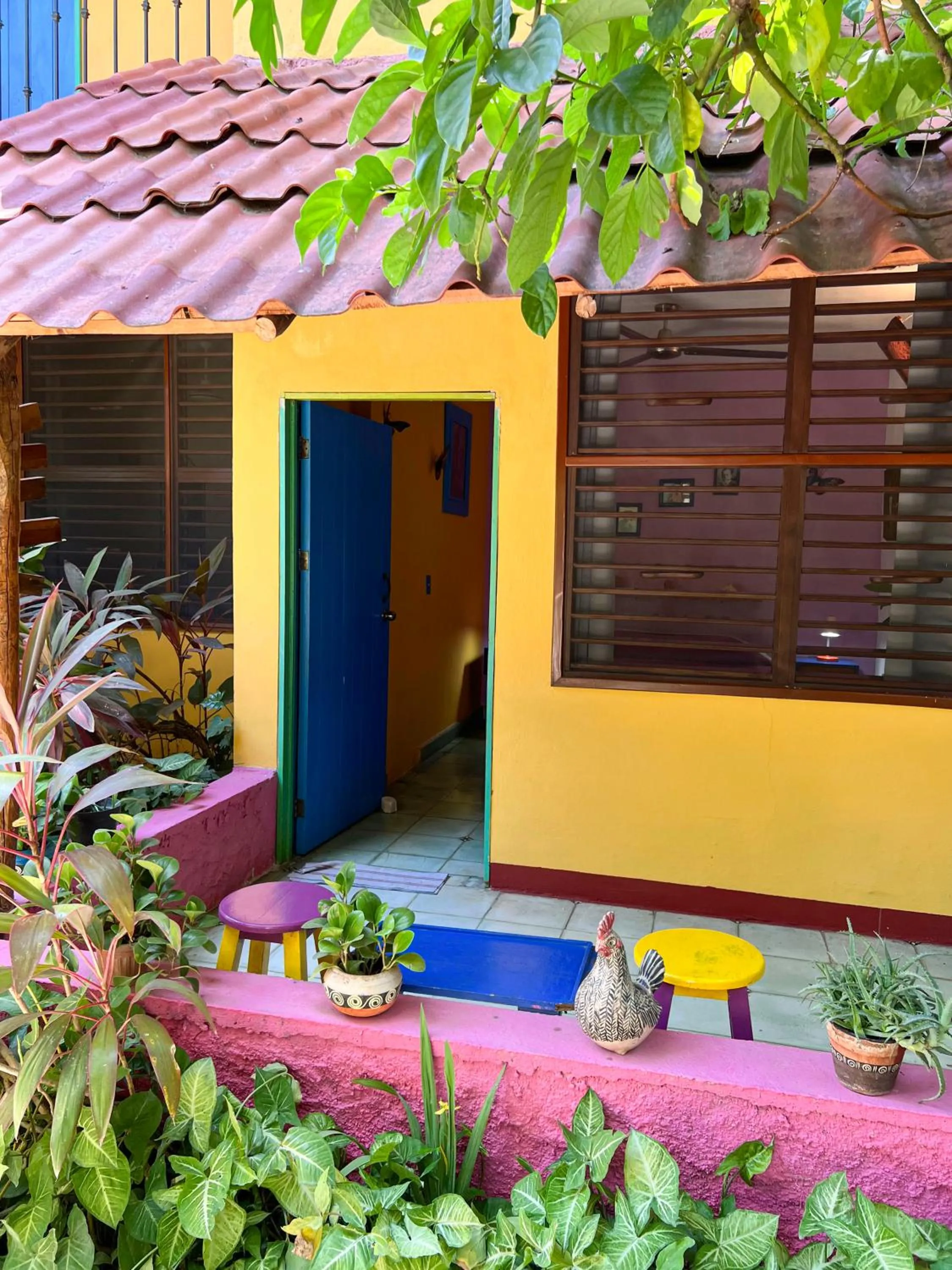 Garden view in Hostel Candelaria