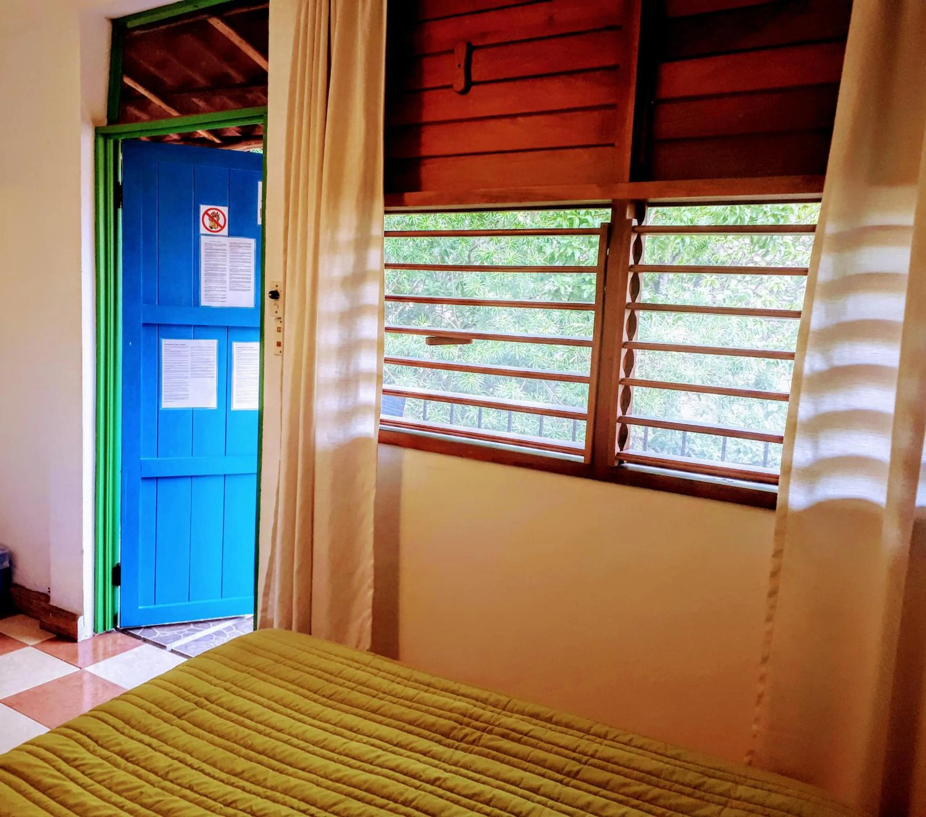 Bed in Hostel Candelaria