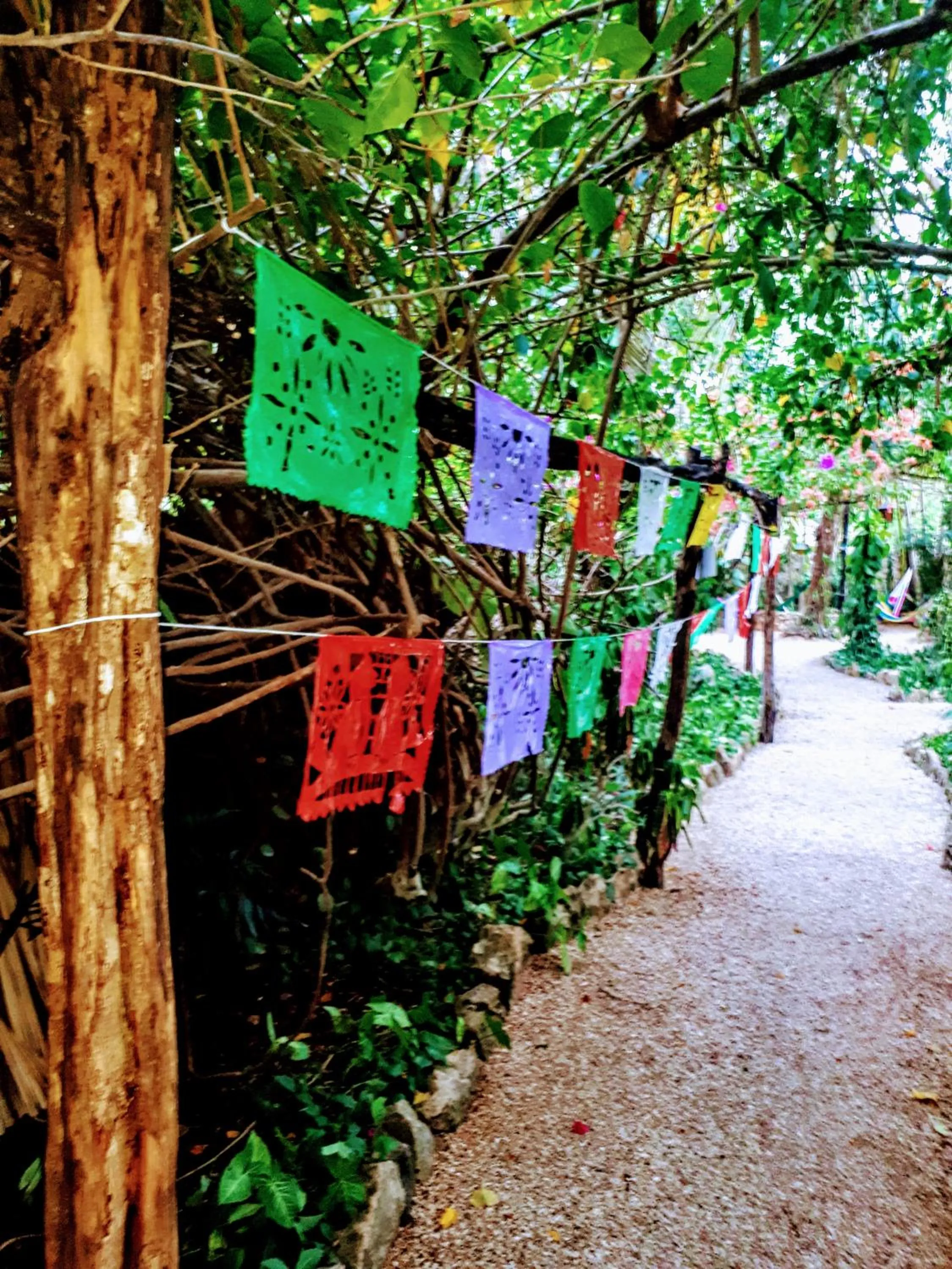 Garden view in Hostel Candelaria