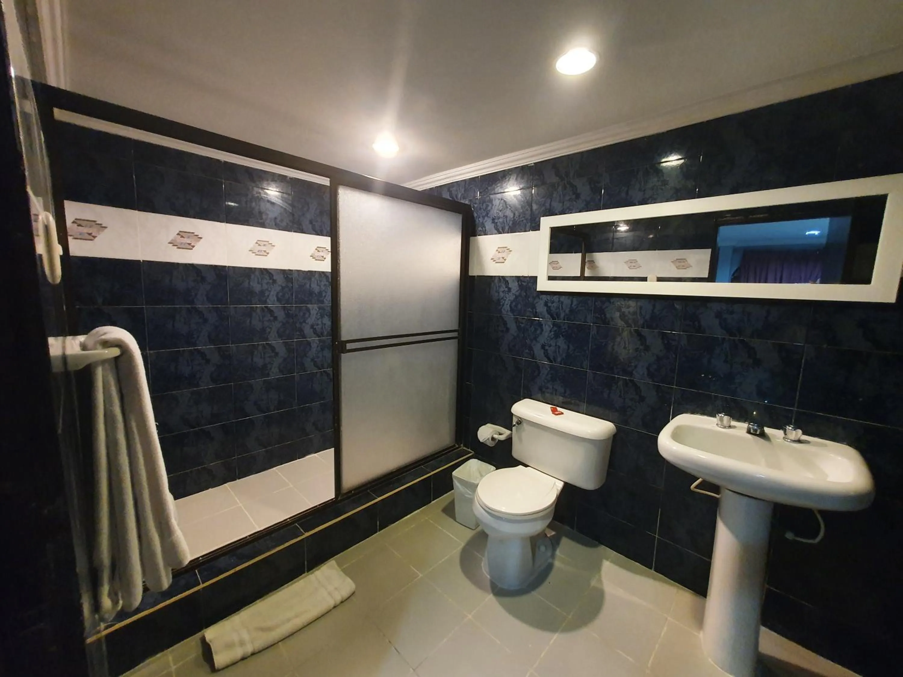 Bathroom in Hotel Puerta de Oro