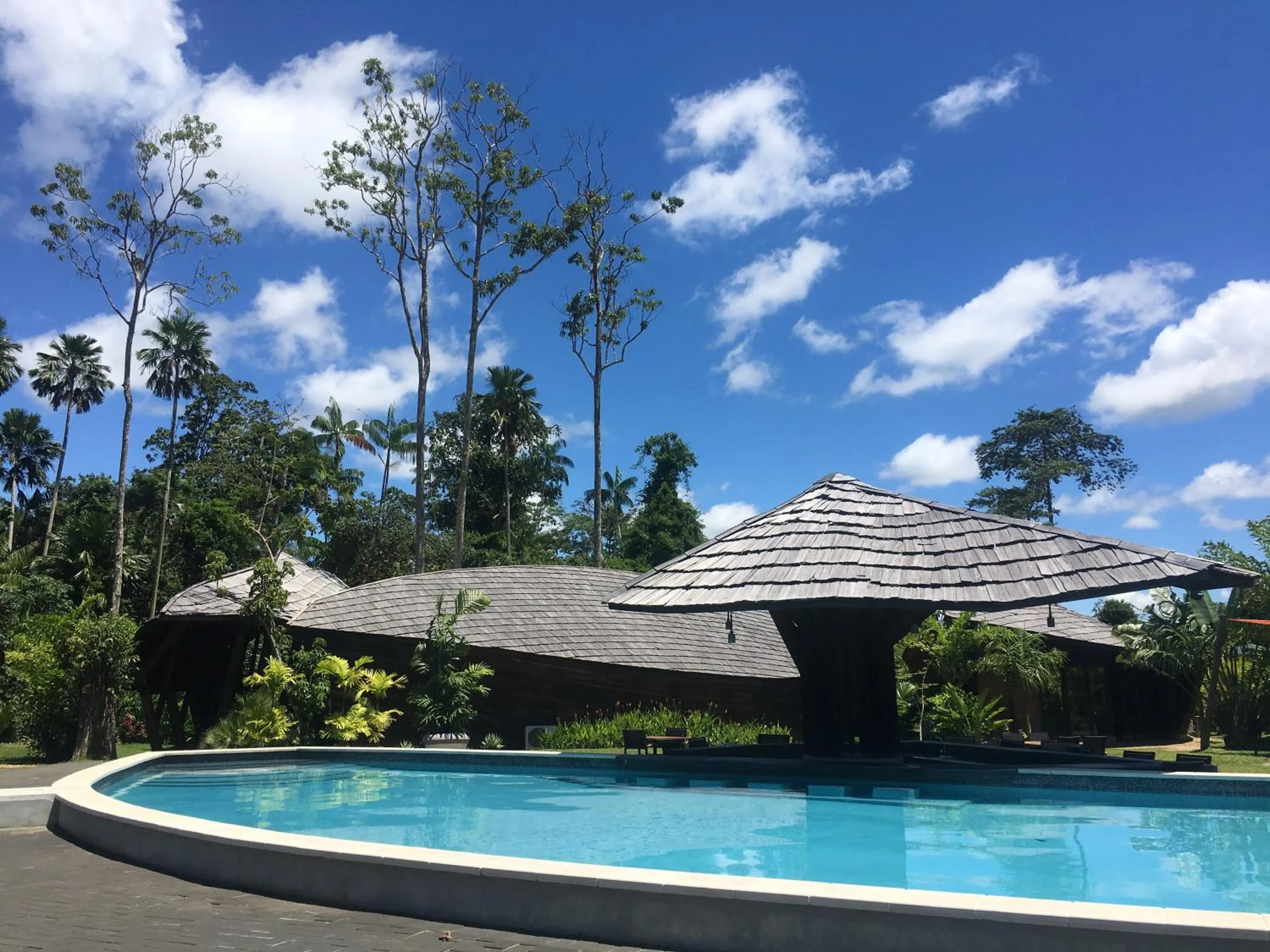 Swimming pool in Houttuyn Wellness River Resort