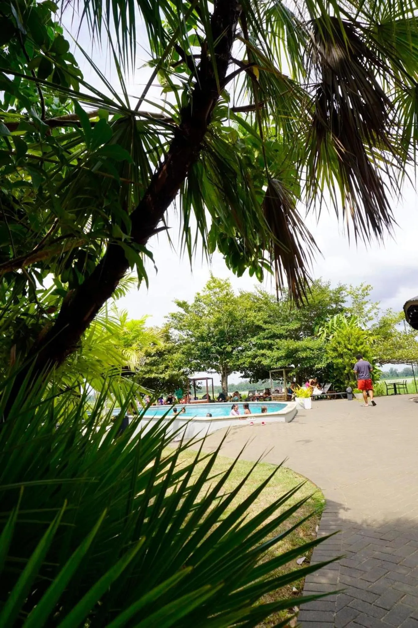 Day in Houttuyn Wellness River Resort