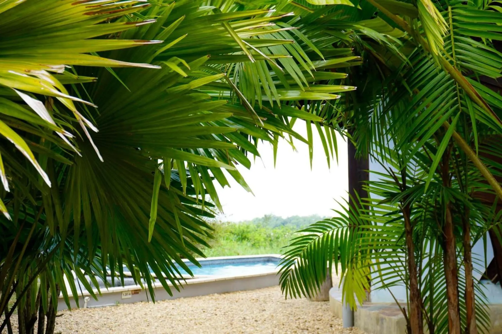 Spa and wellness centre/facilities in Houttuyn Wellness River Resort