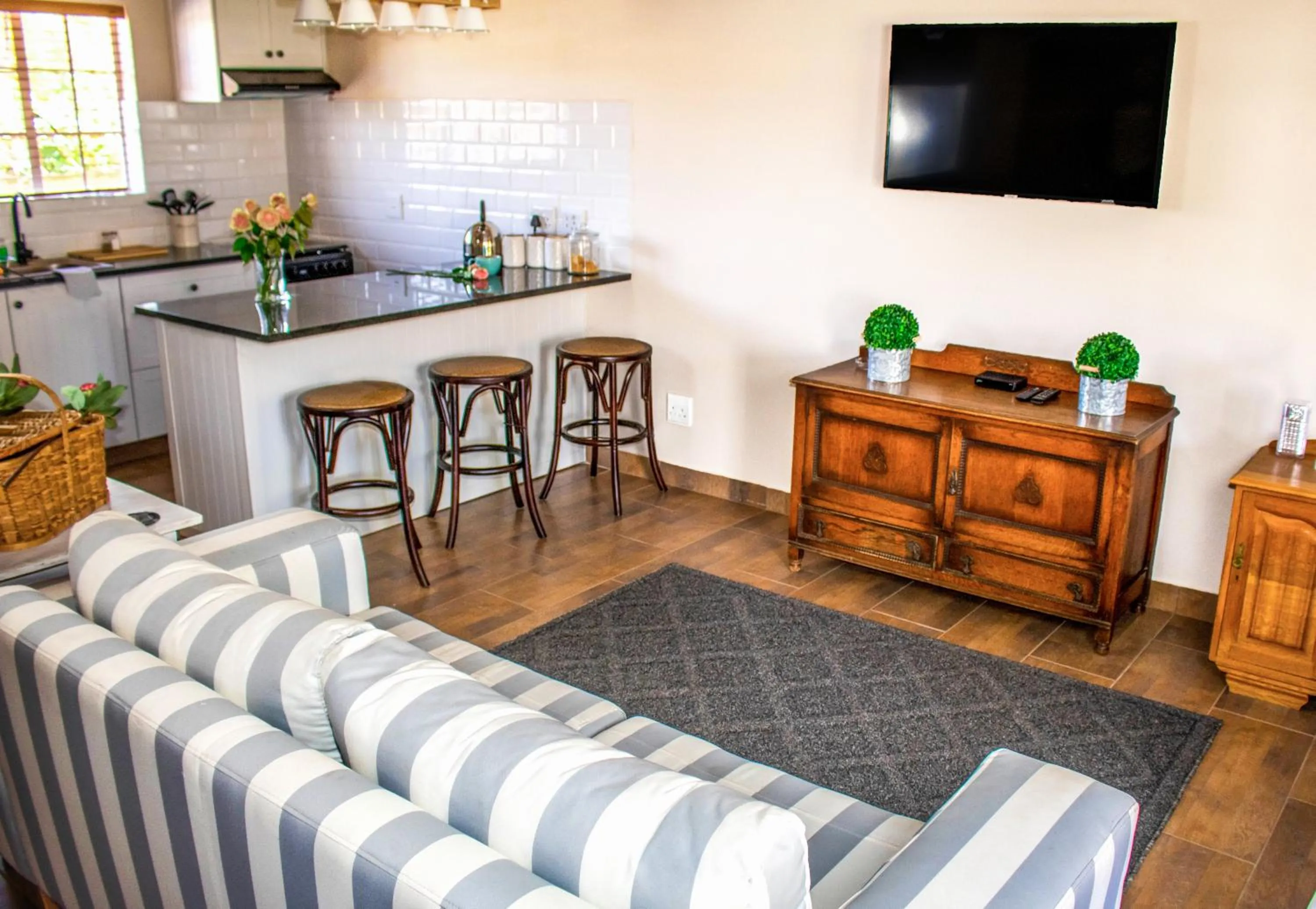 TV and multimedia in Modern Farm