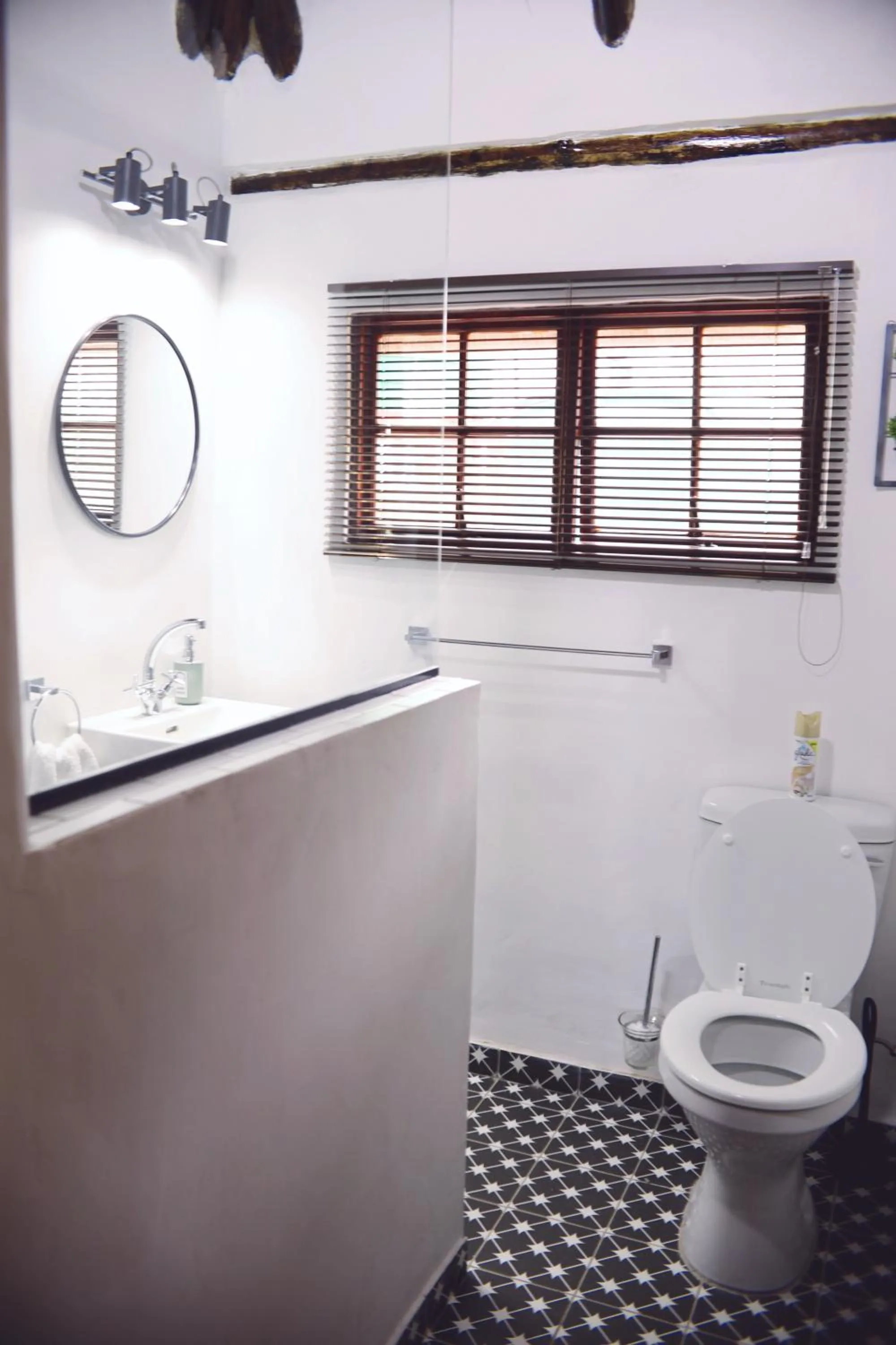 Bathroom in Modern Farm