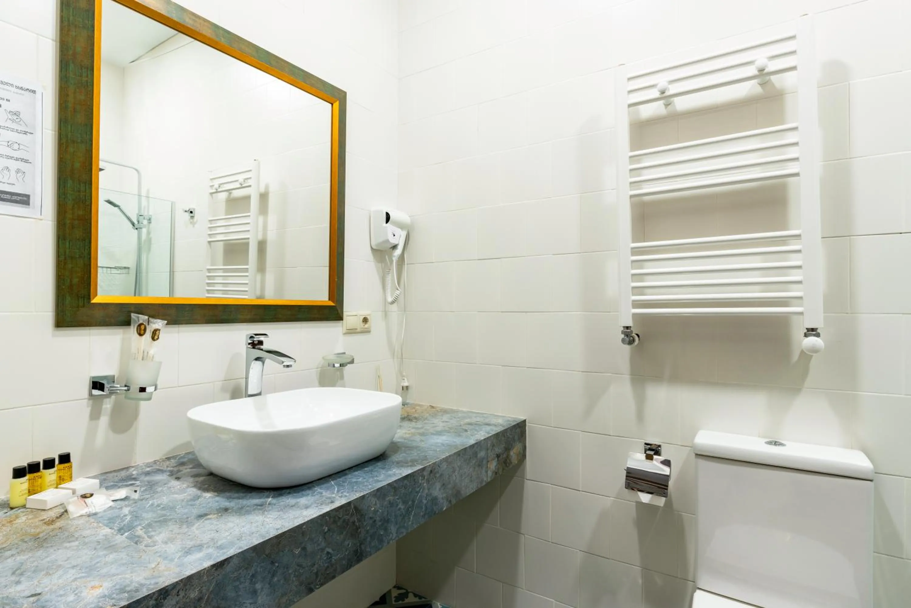 Bathroom in Hotel Flower