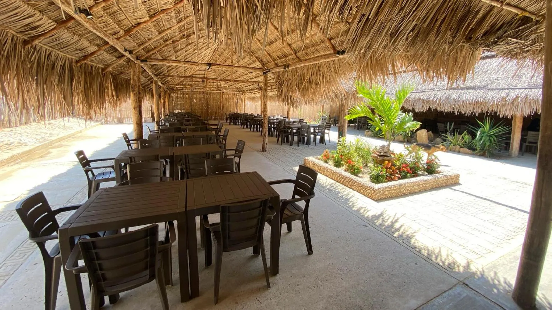 Restaurant/places to eat in Hotel Wayira Beach