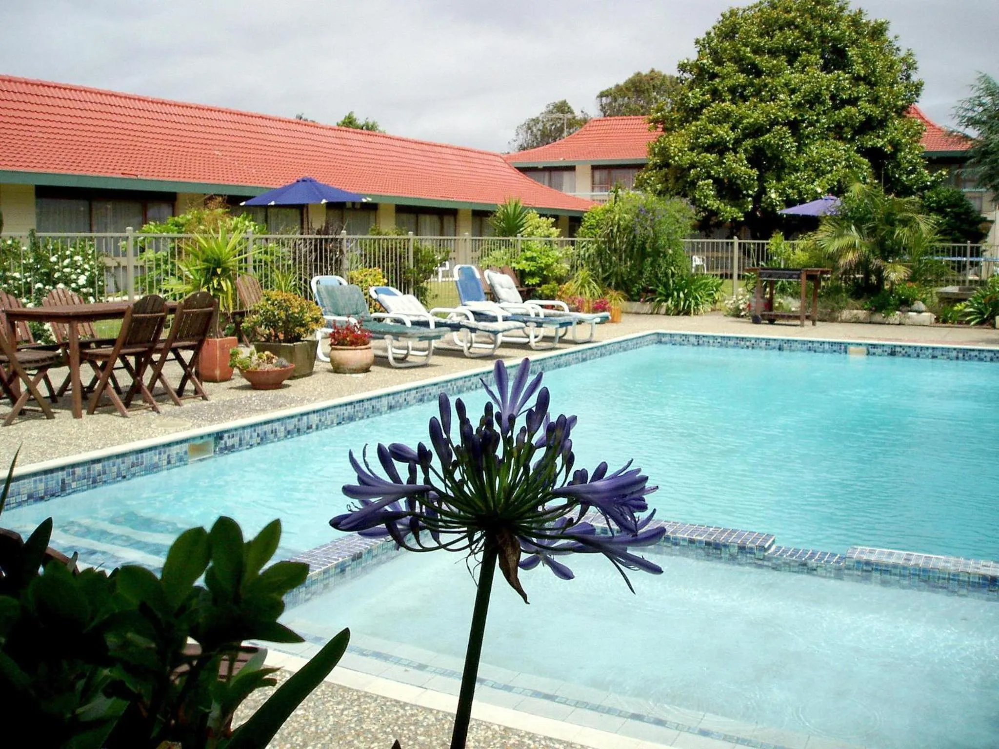 Pool view in Airport Gold Star Motel