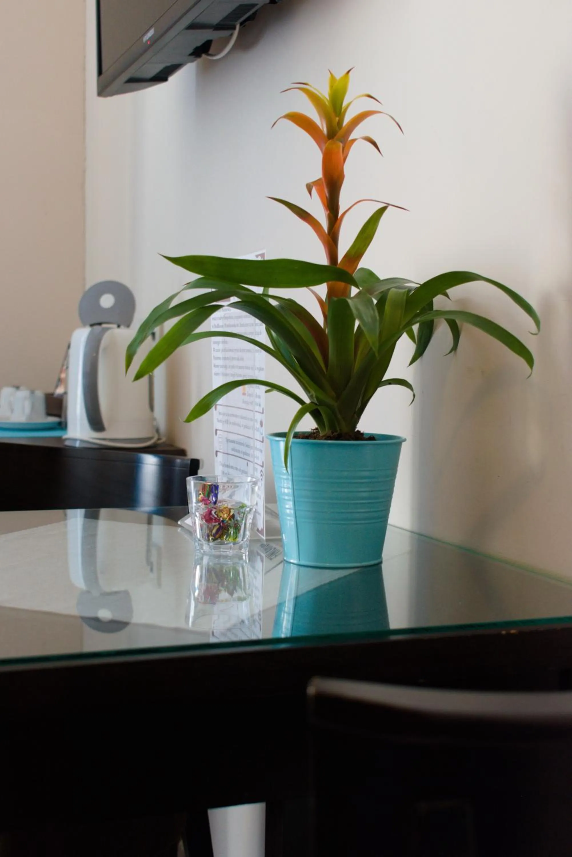 Coffee/tea facilities in BedRooms Piotrkowska 64