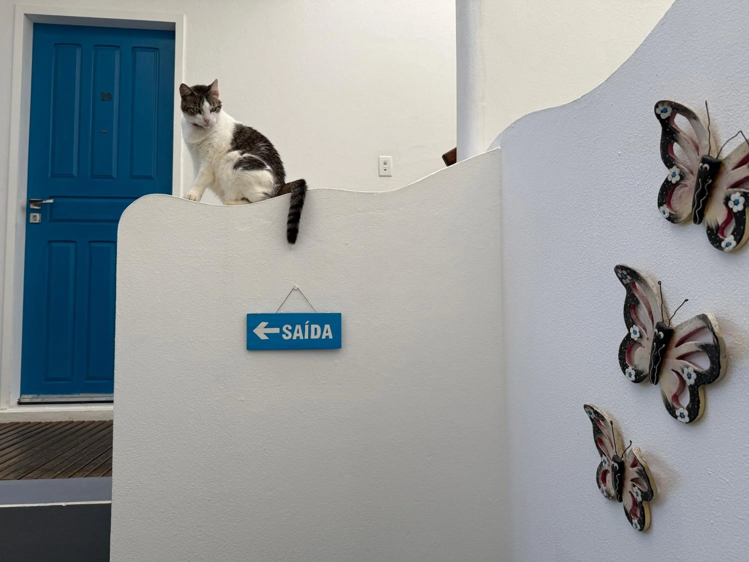 Pets in Pousada Caminho da Praia