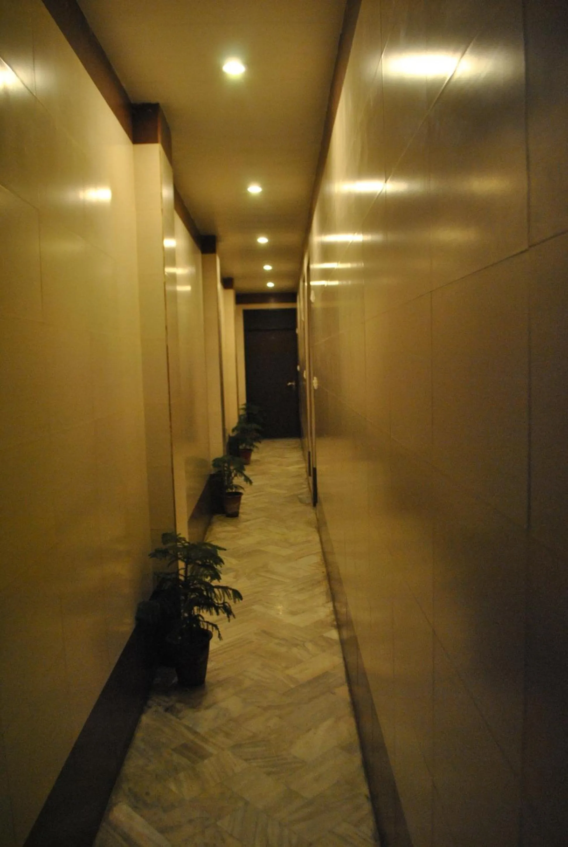 Balcony/Terrace in Hotel Golden Deluxe