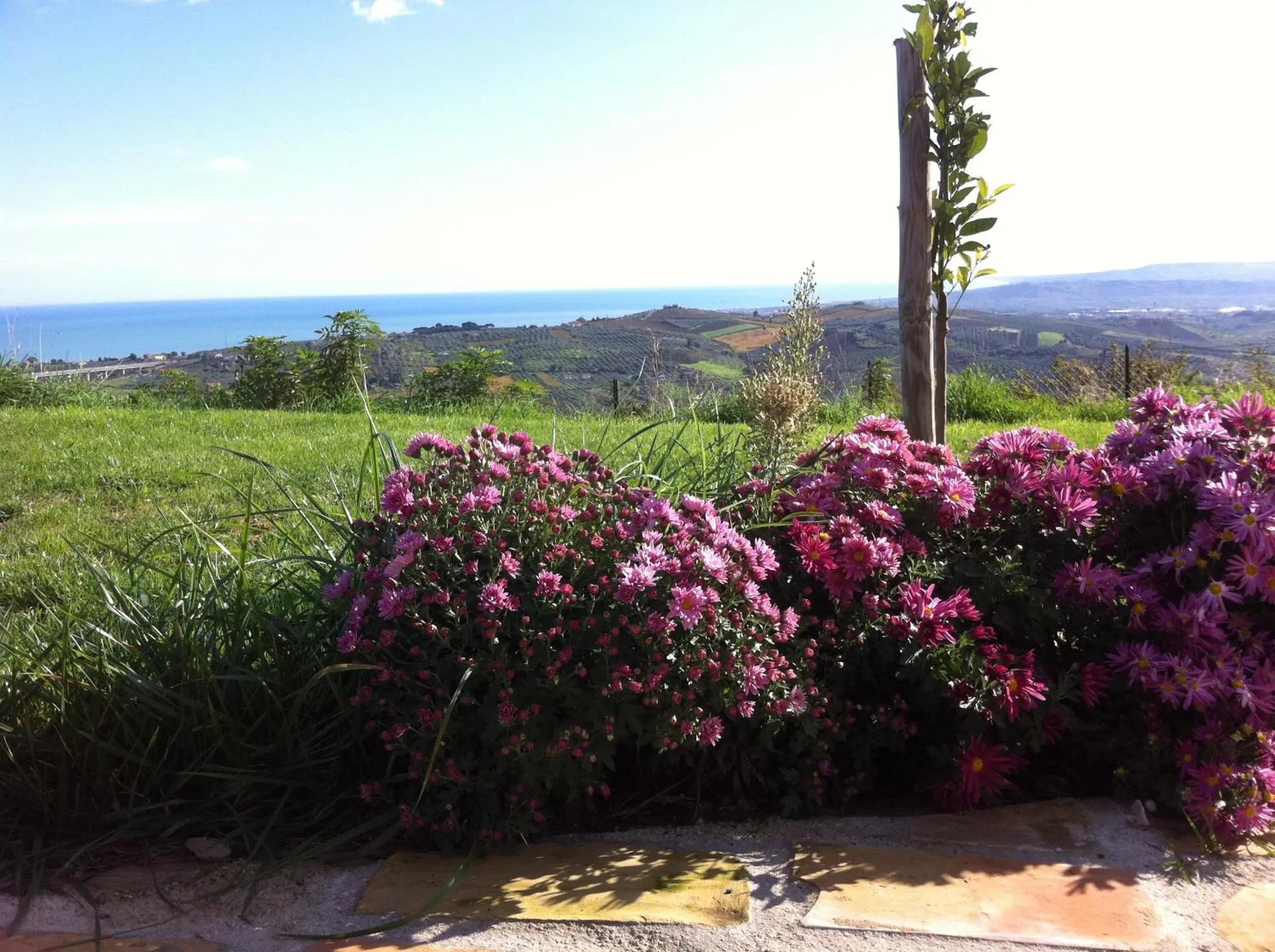 Day in Villa Polercia