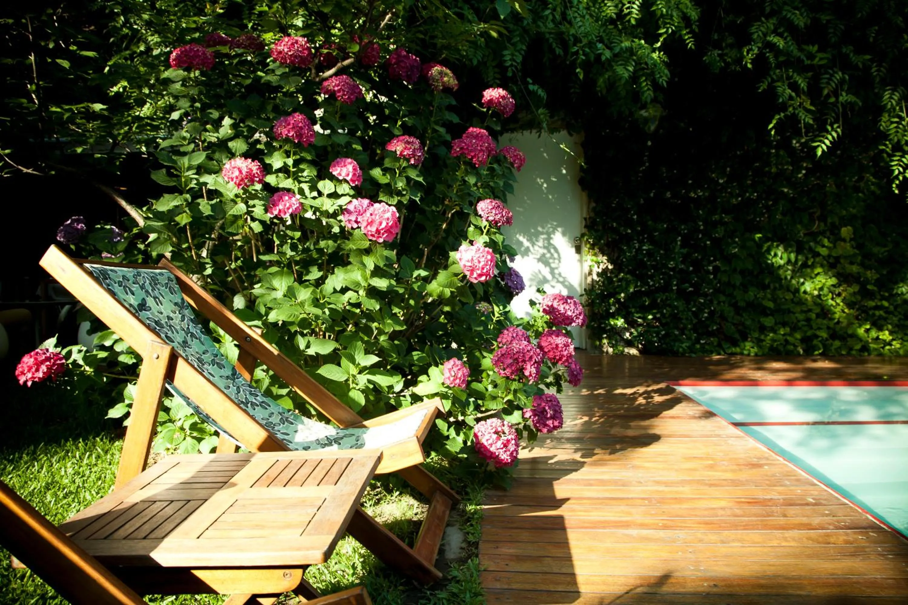 Garden in Home Hotel