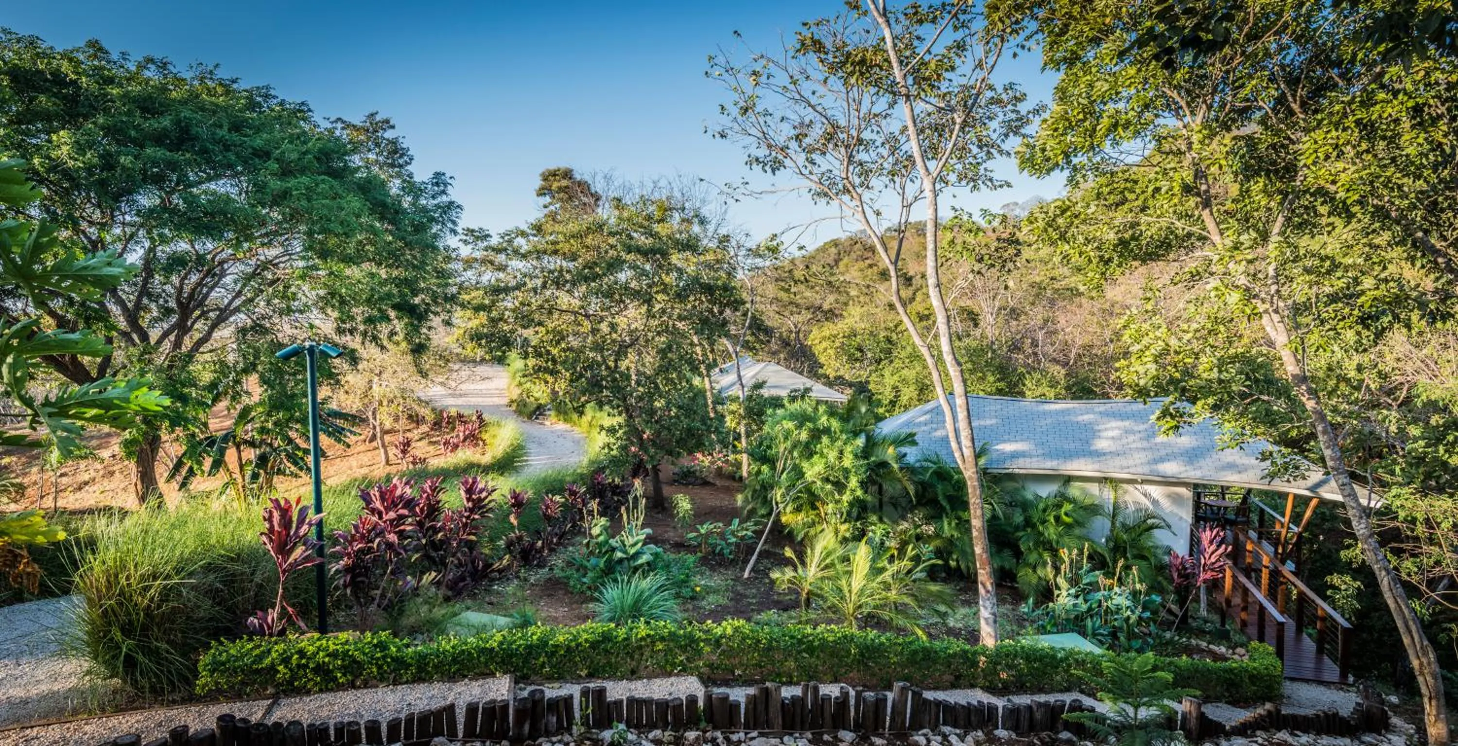 Natural landscape in Mikado Natural Lodge