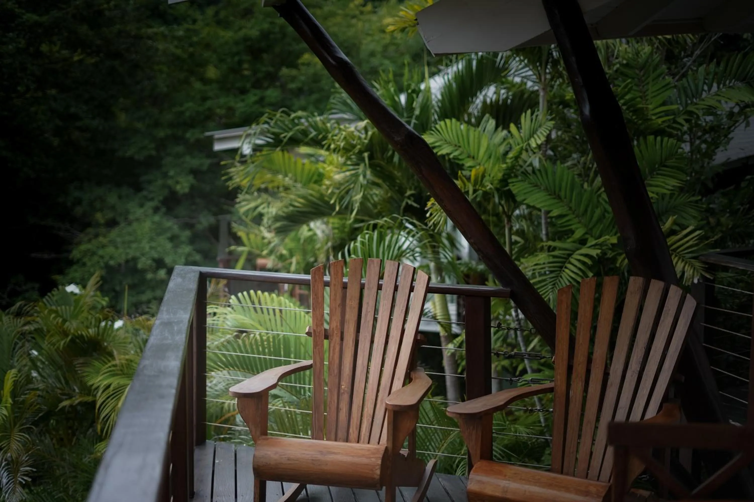 Balcony/Terrace in Mikado Natural Lodge