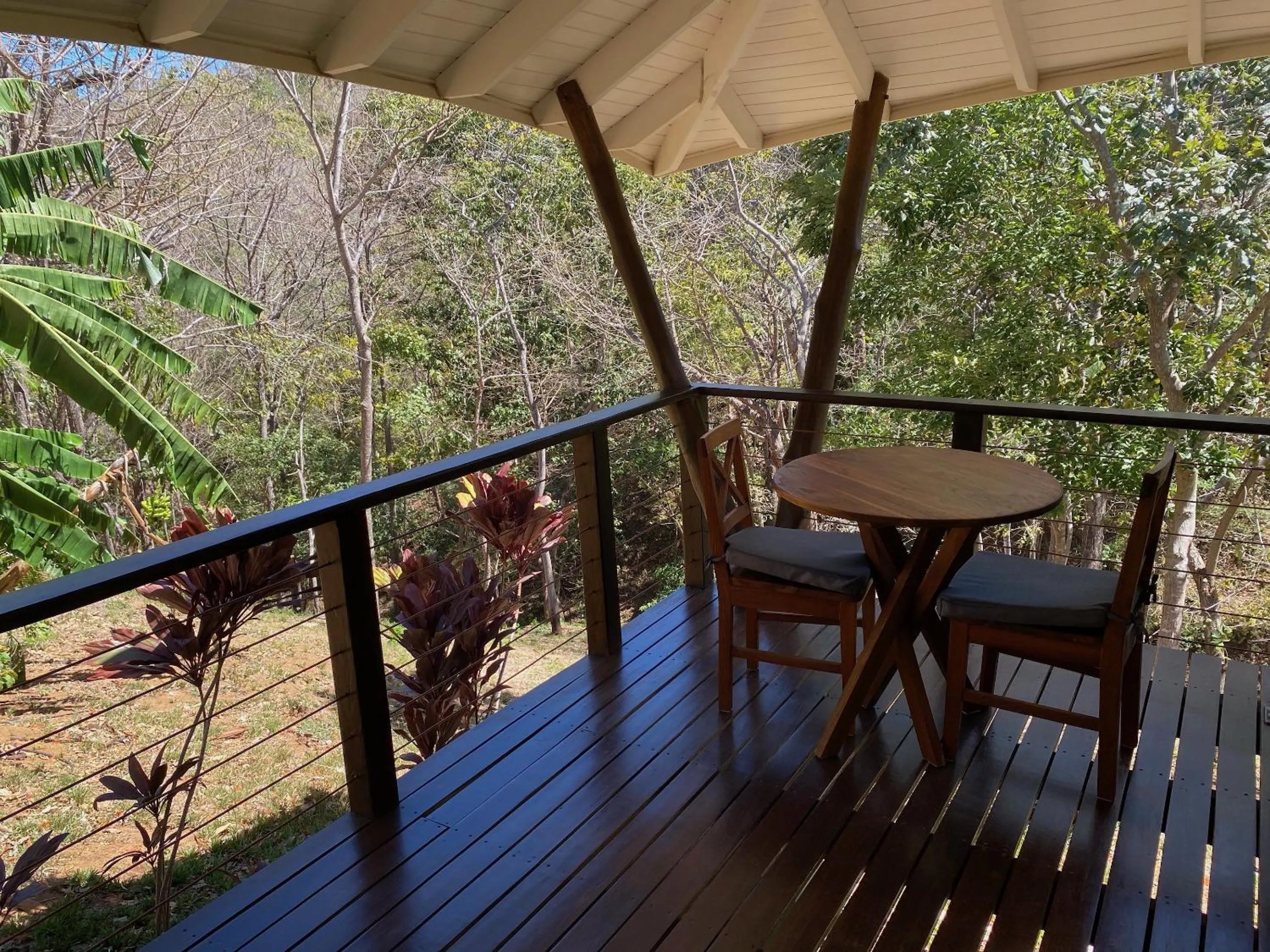 Natural landscape in Mikado Natural Lodge