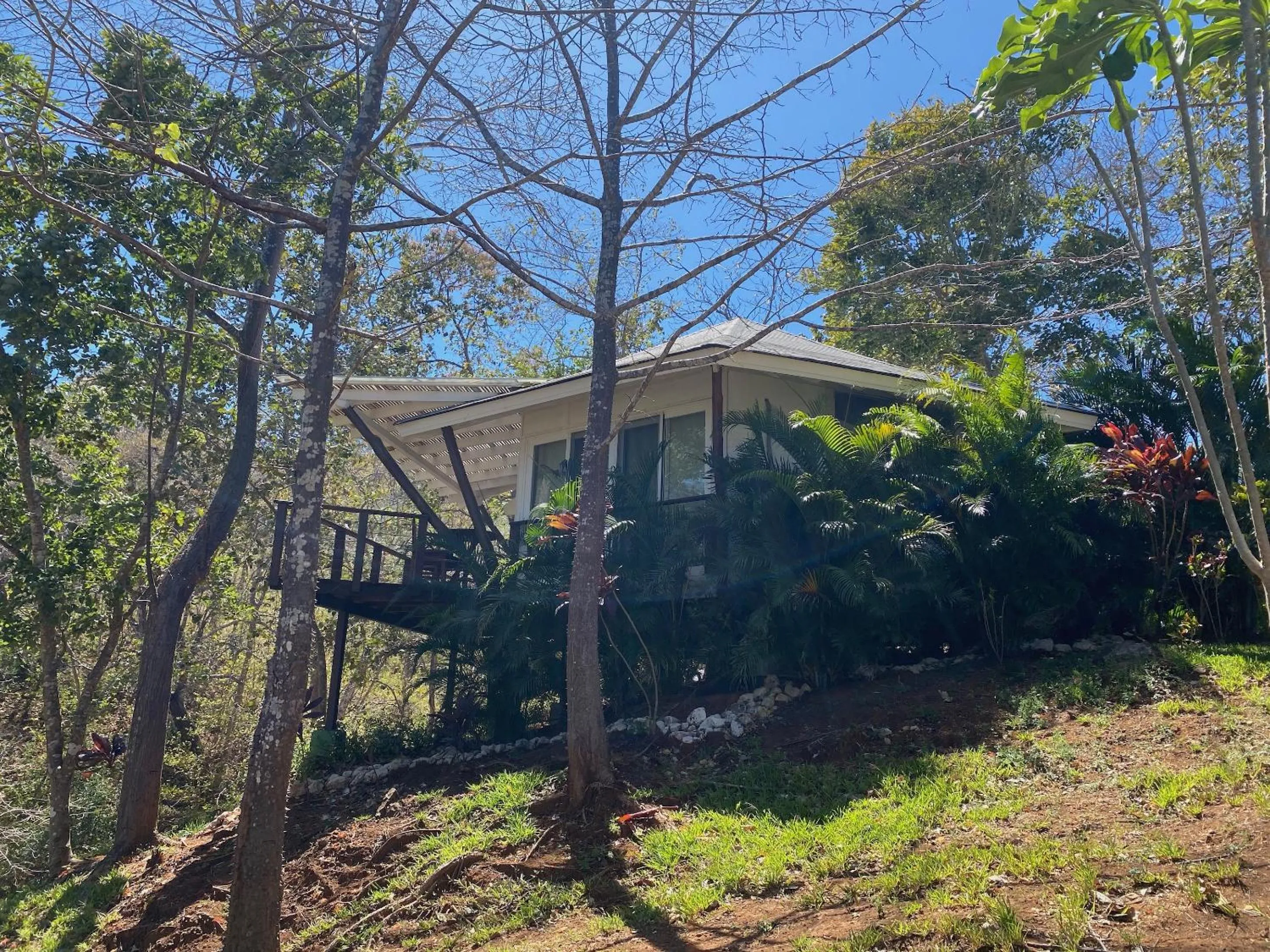 Property building in Mikado Natural Lodge