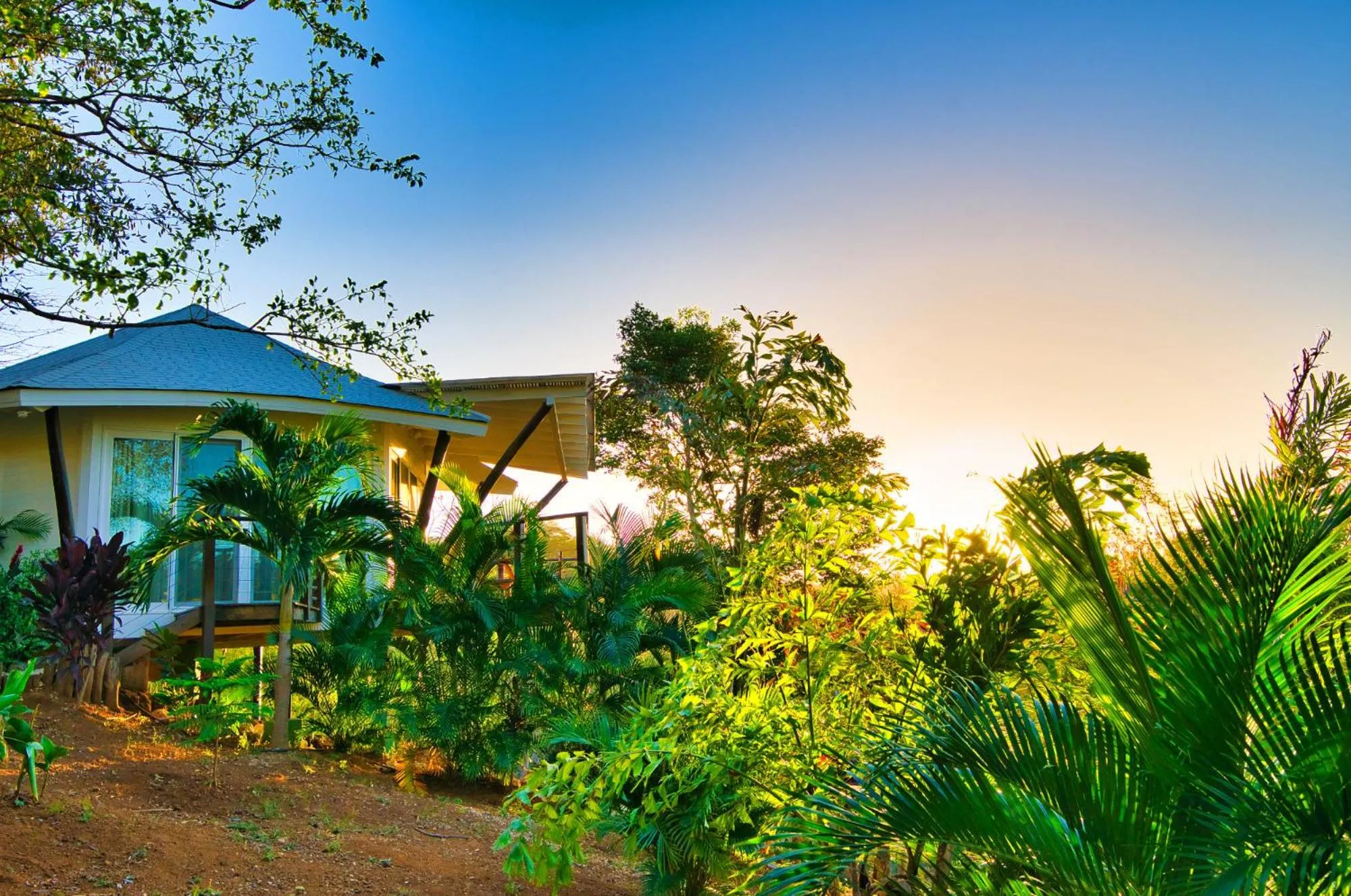 Natural landscape in Mikado Natural Lodge