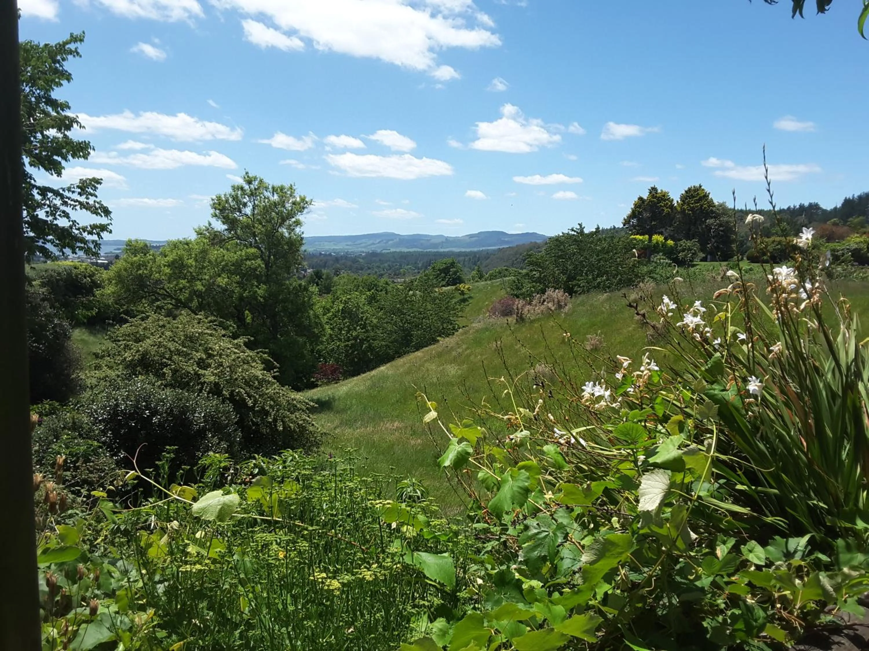 Natural landscape in Geyser Lookout BnB