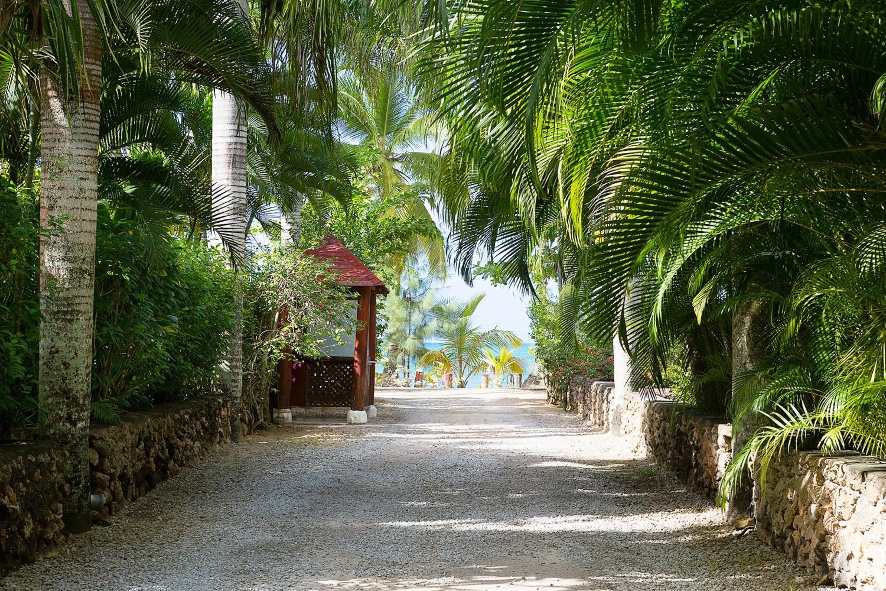 Nearby landmark in Condo Hotel Playa Las Ballenas