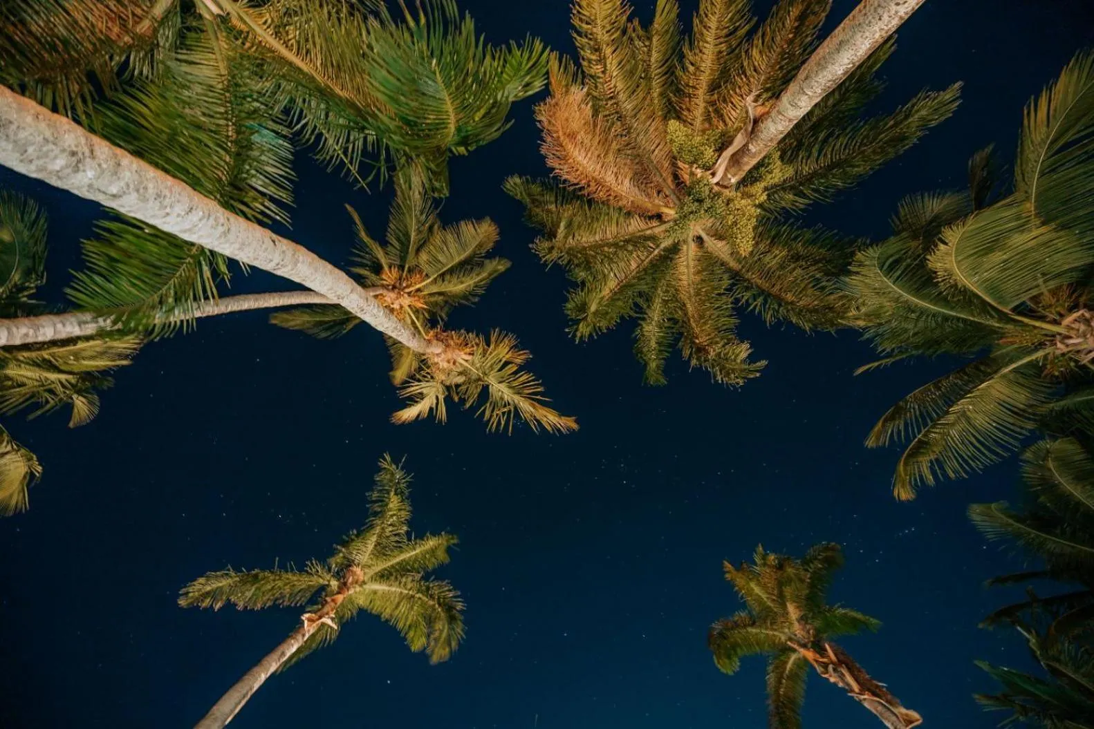 Other in Condo Hotel Playa Las Ballenas