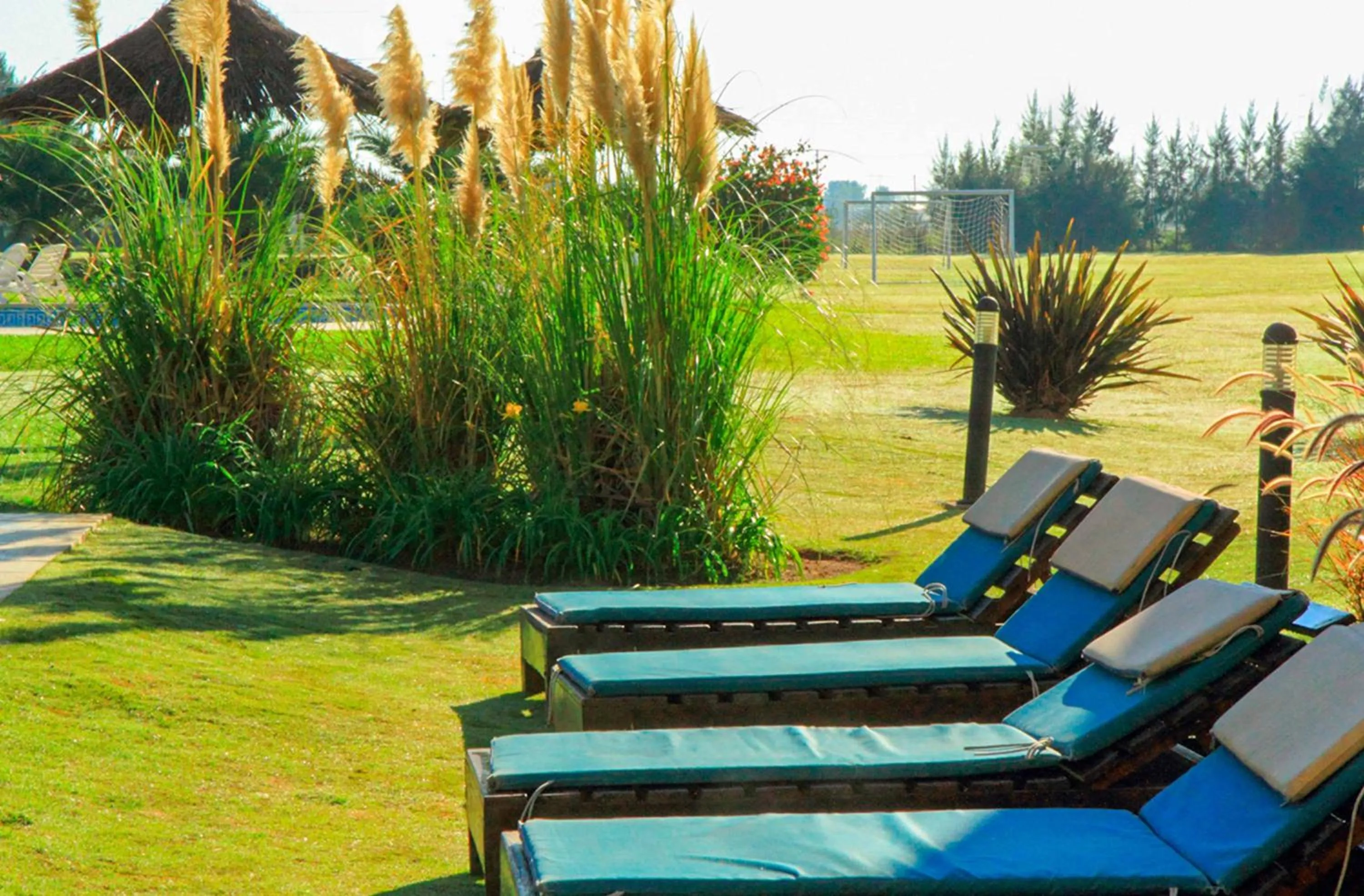 Wyndham Garden Campana