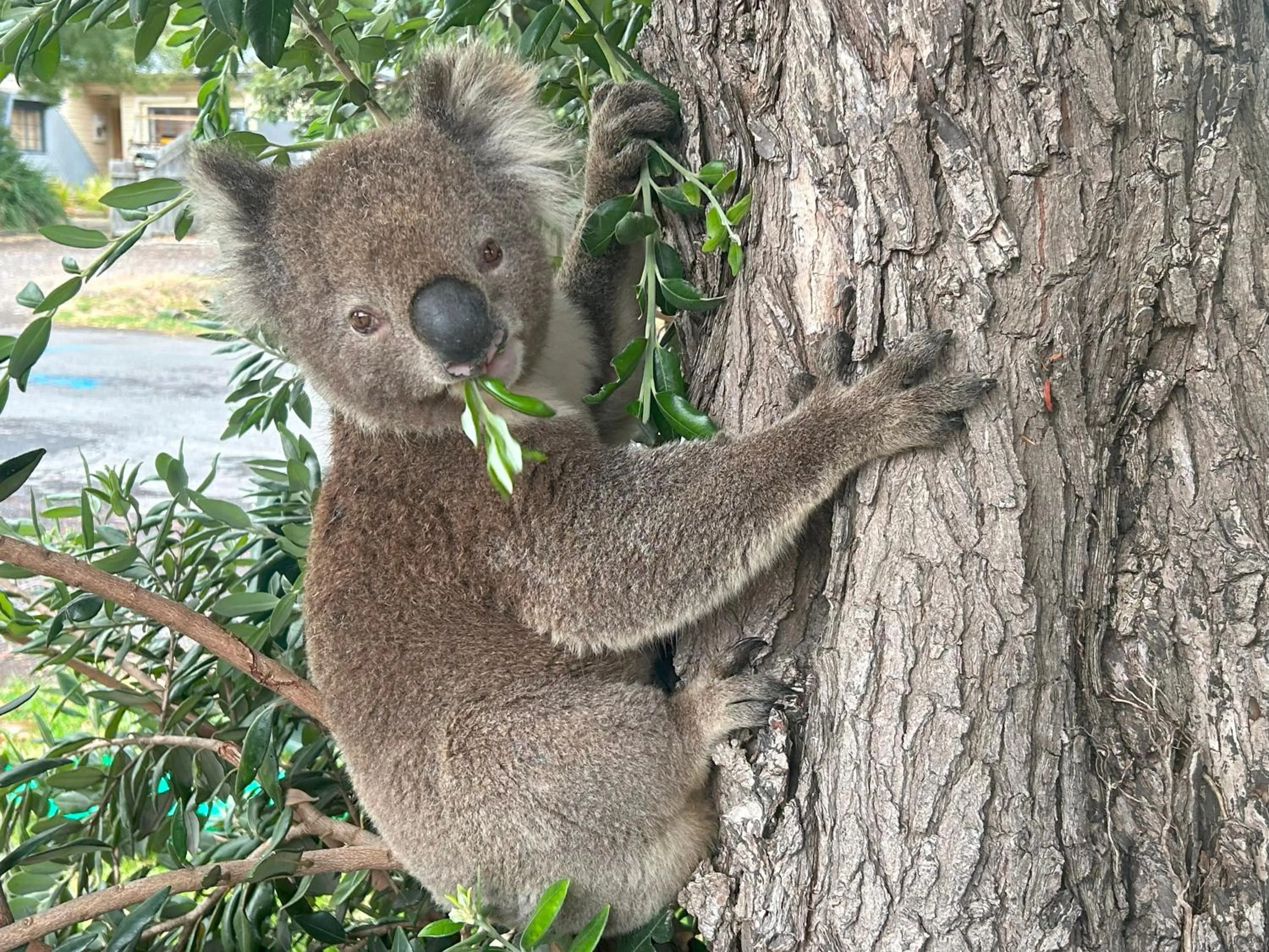 Natural landscape in Coastal Motel