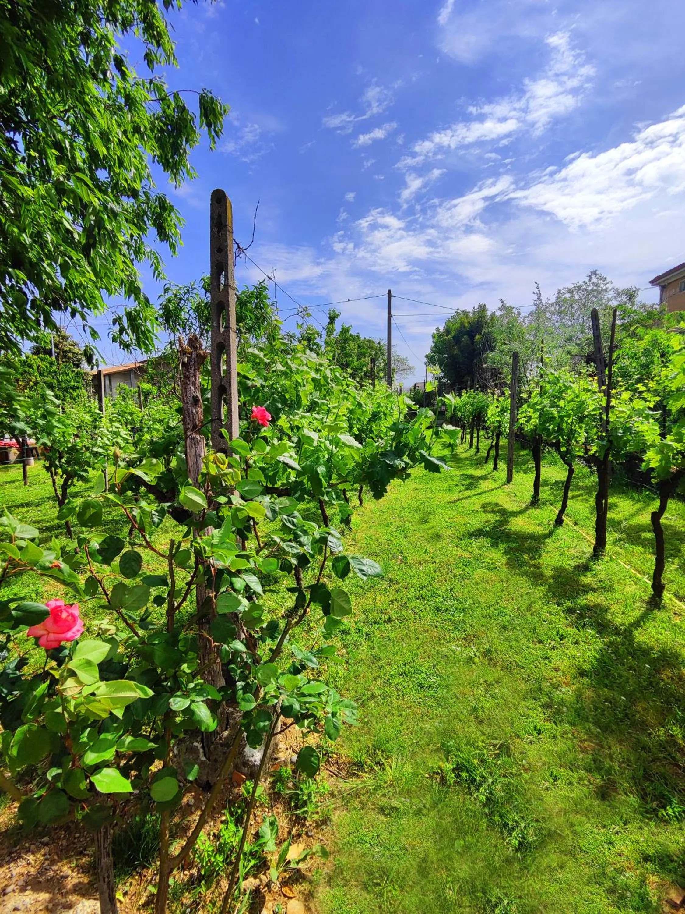 Garda Relais Antica Romelia