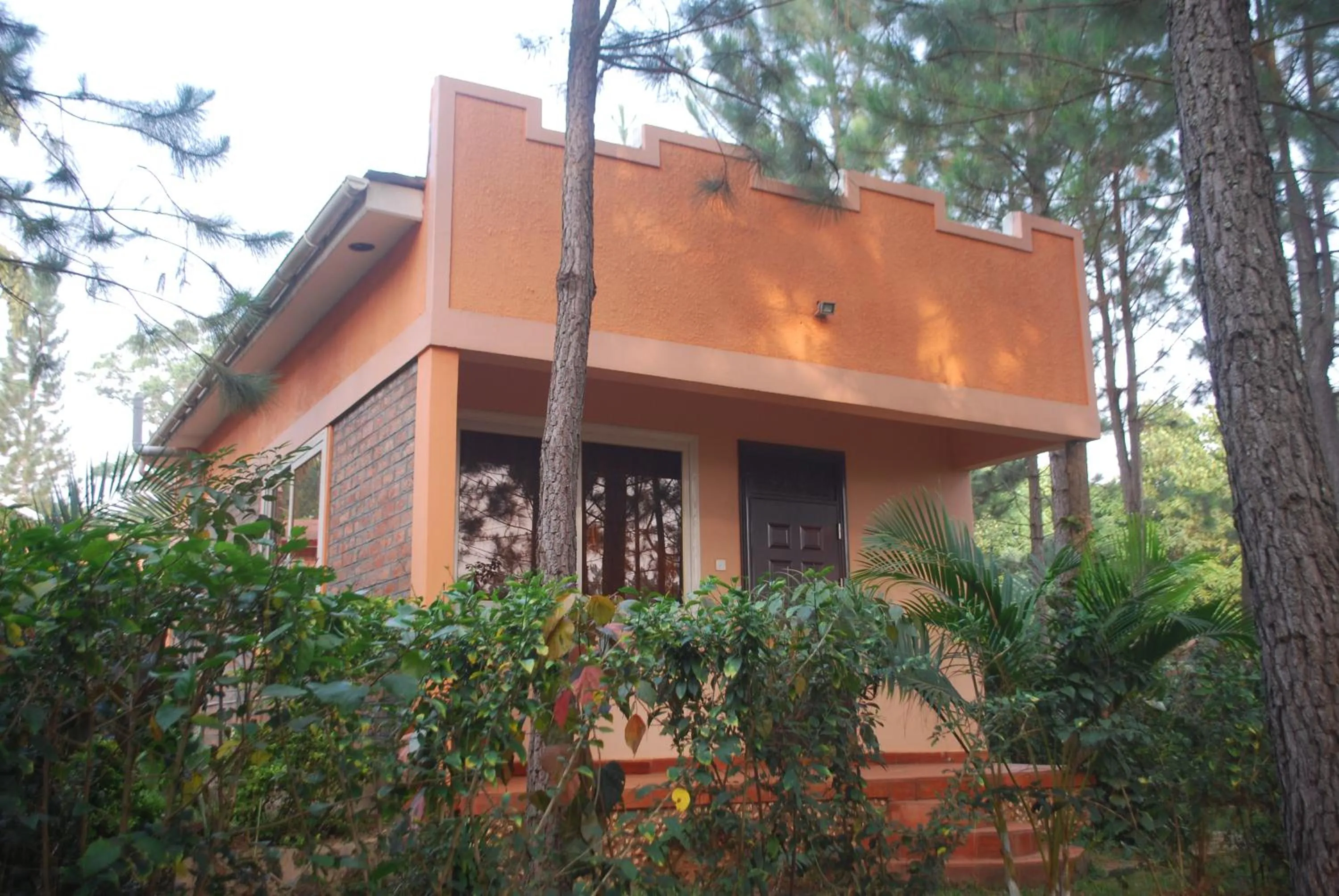Property building in Saltek Forest Cottages