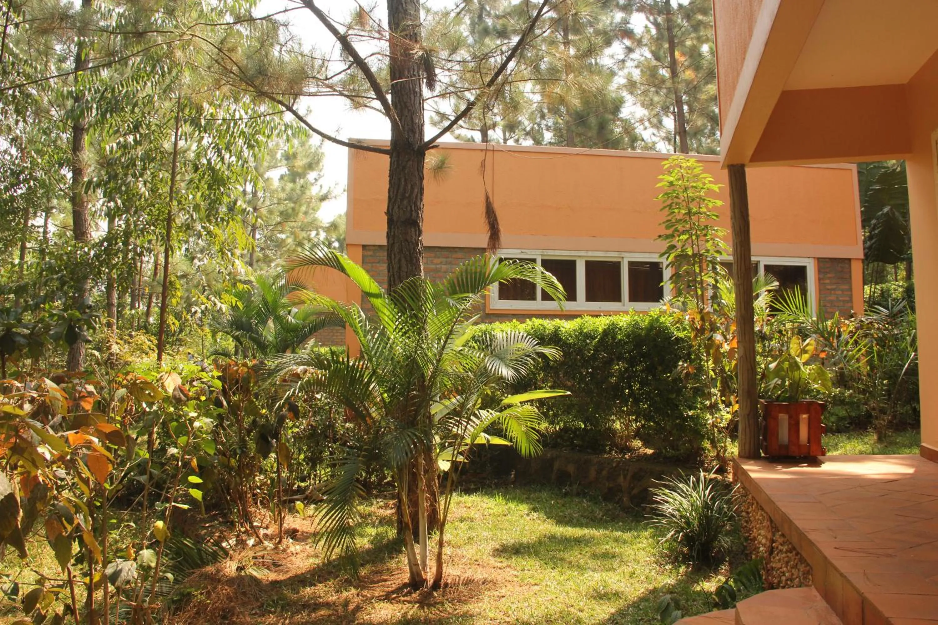 Garden in Saltek Forest Cottages