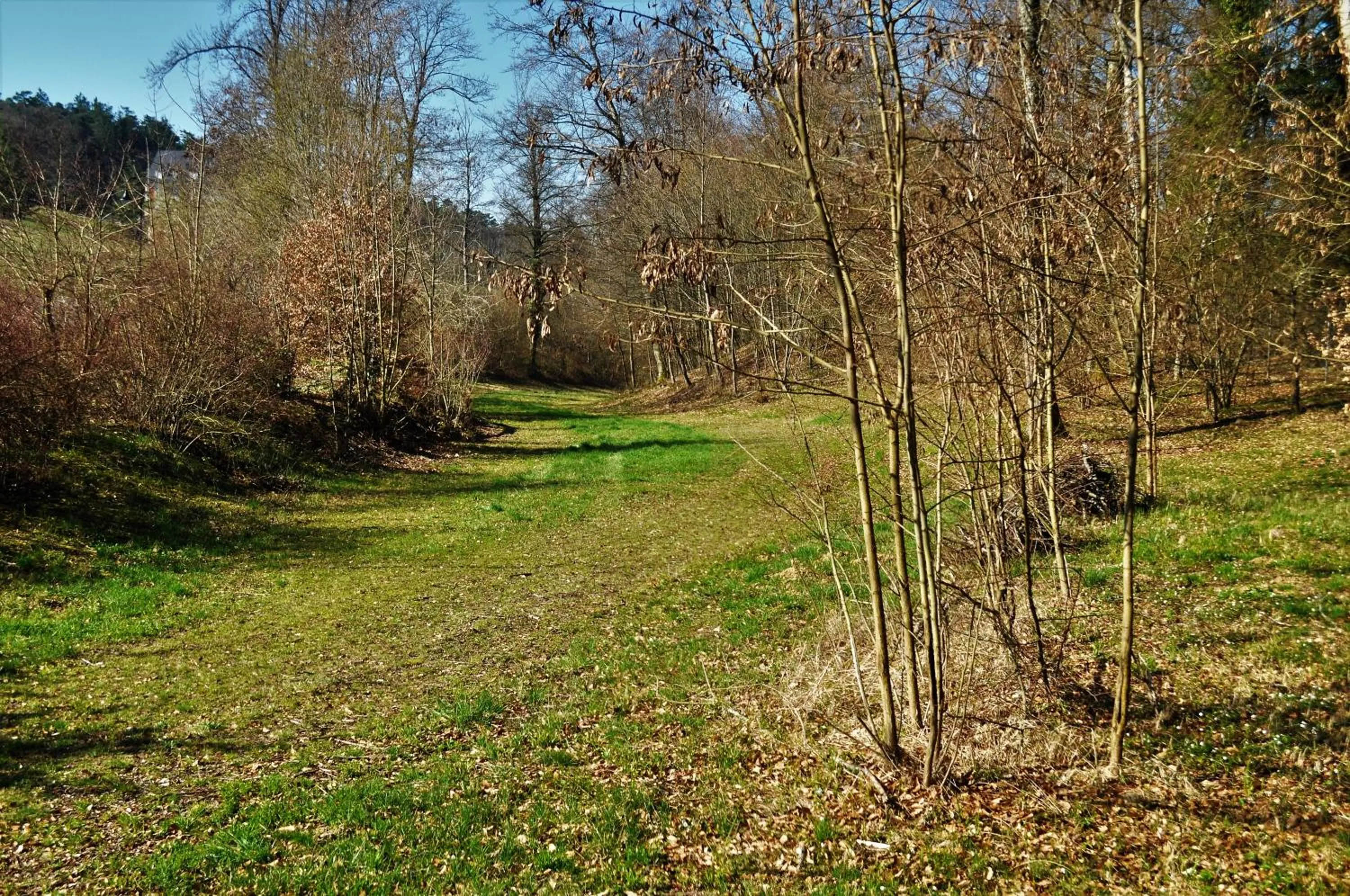 Domaine de Mont-Renaud